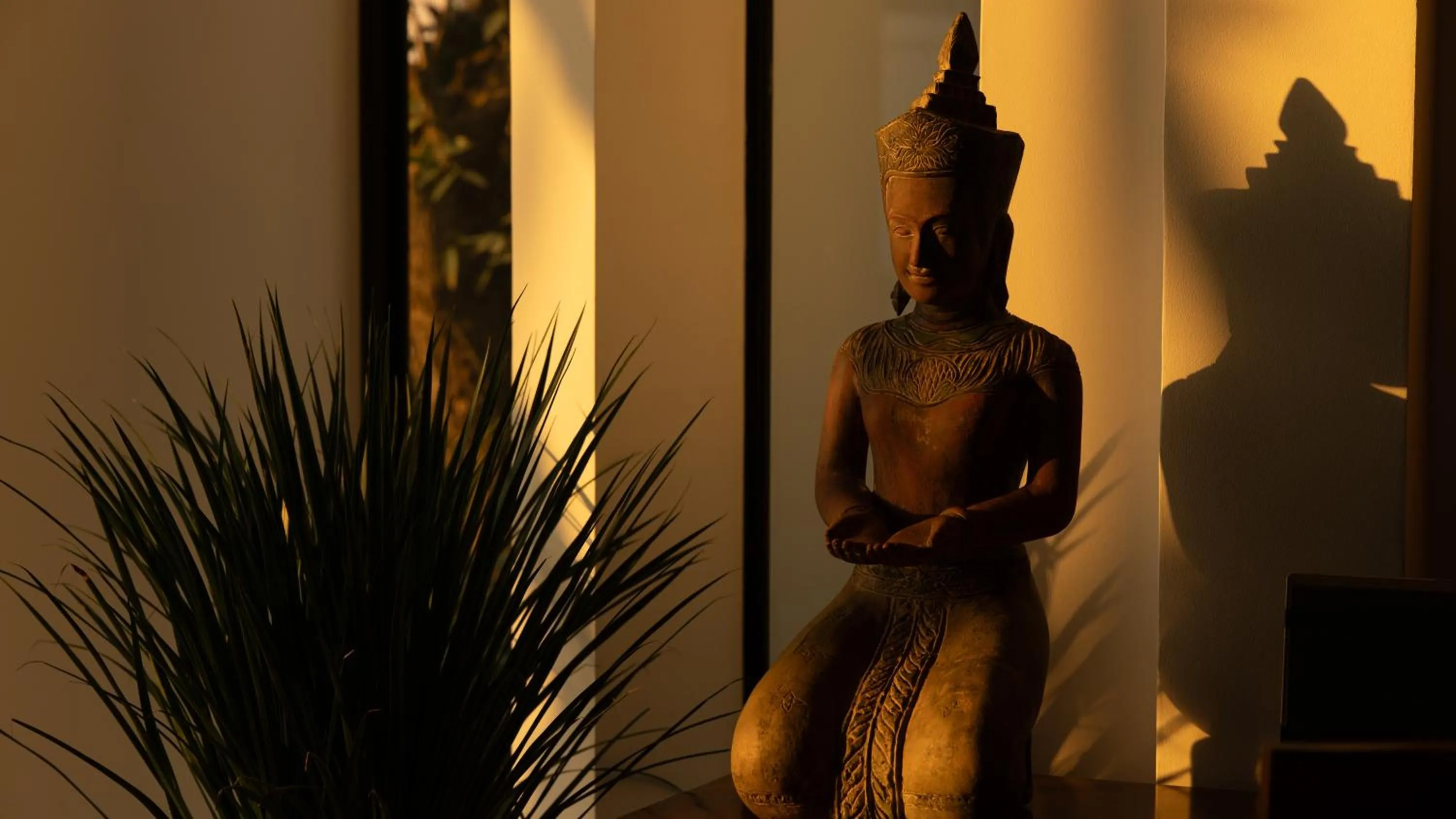 Decorative detail in Shintana Saya Residence