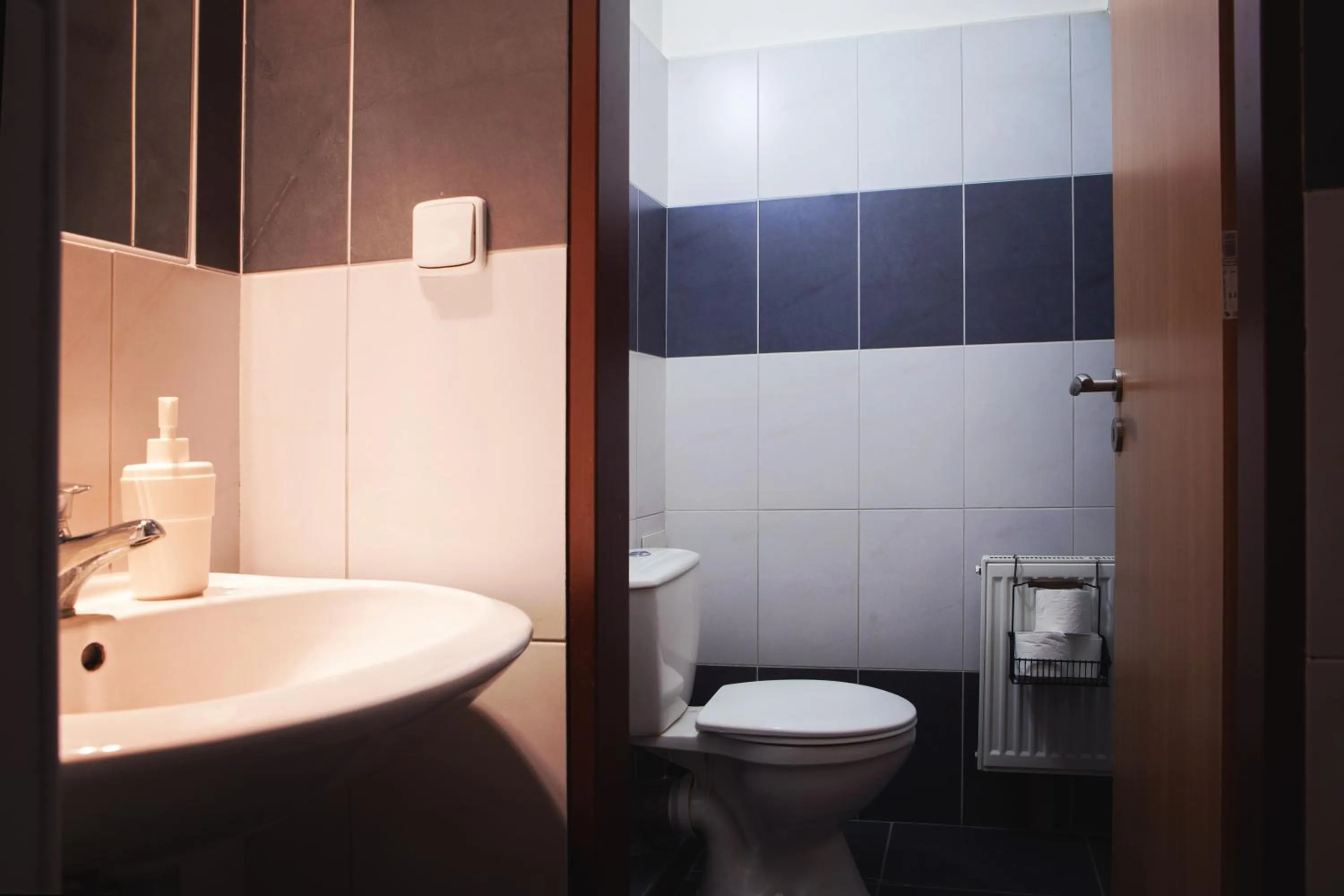 Toilet in Internesto Brno