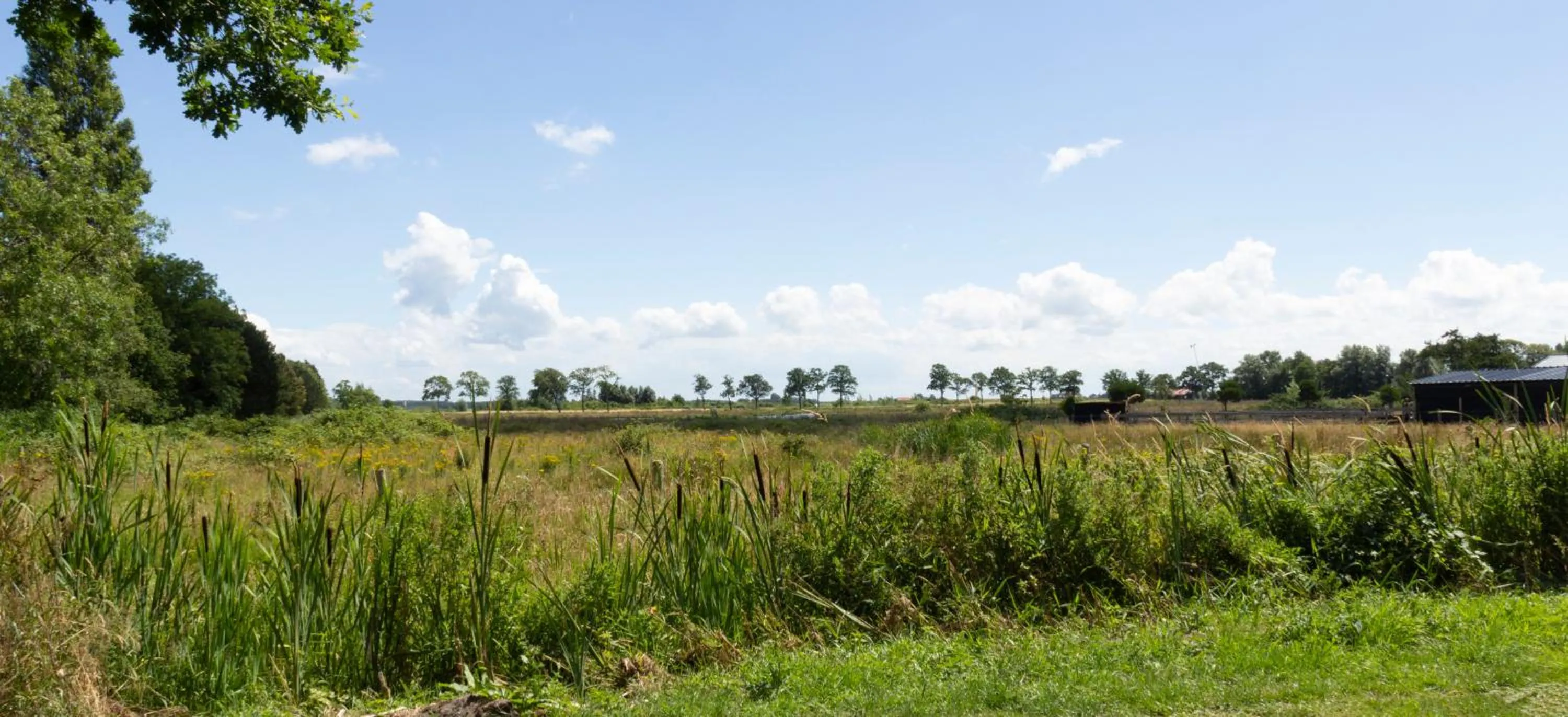 Little Creek - Lodges in het natuurgebied