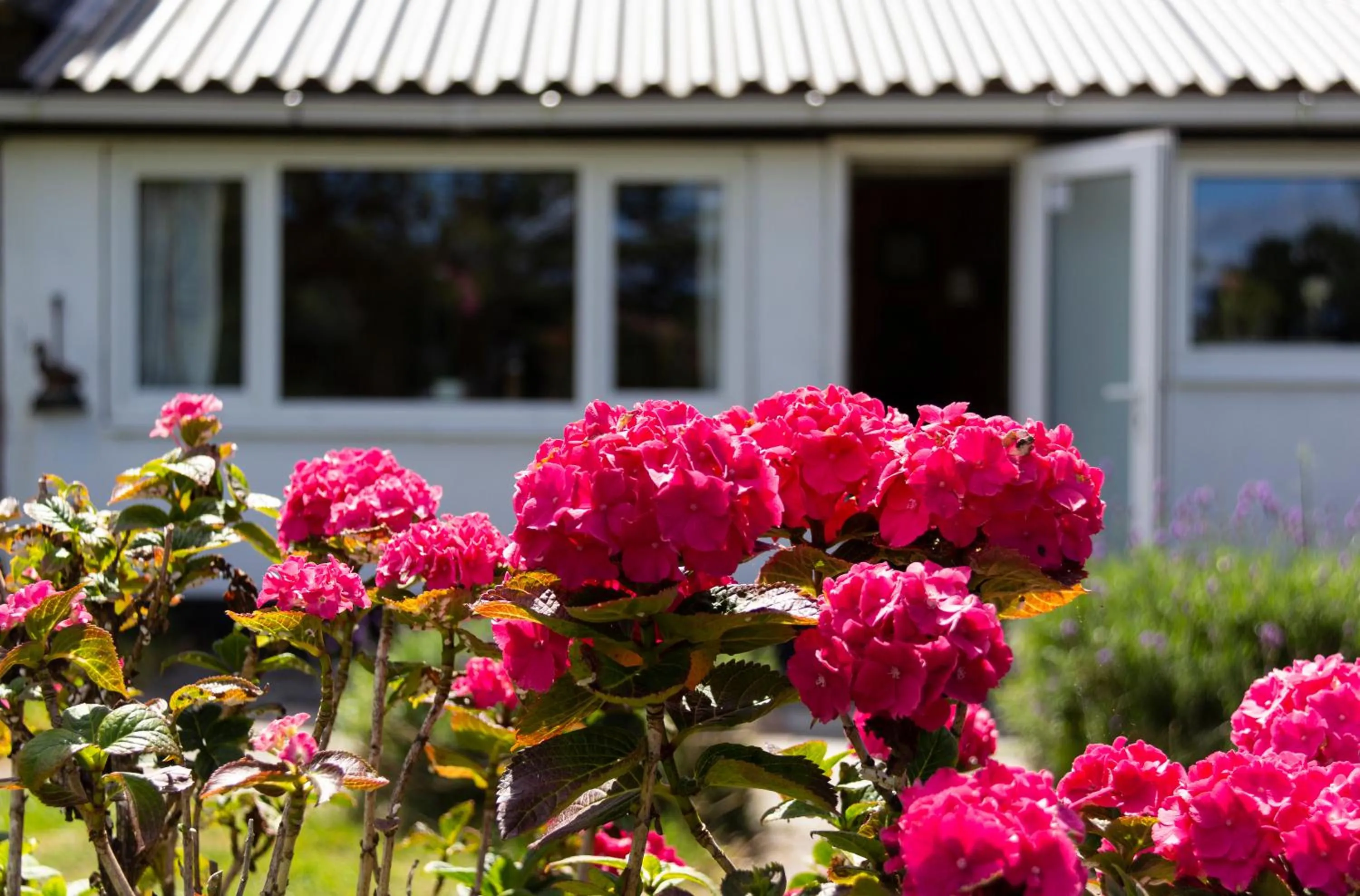 Little Creek - Lodges in het natuurgebied