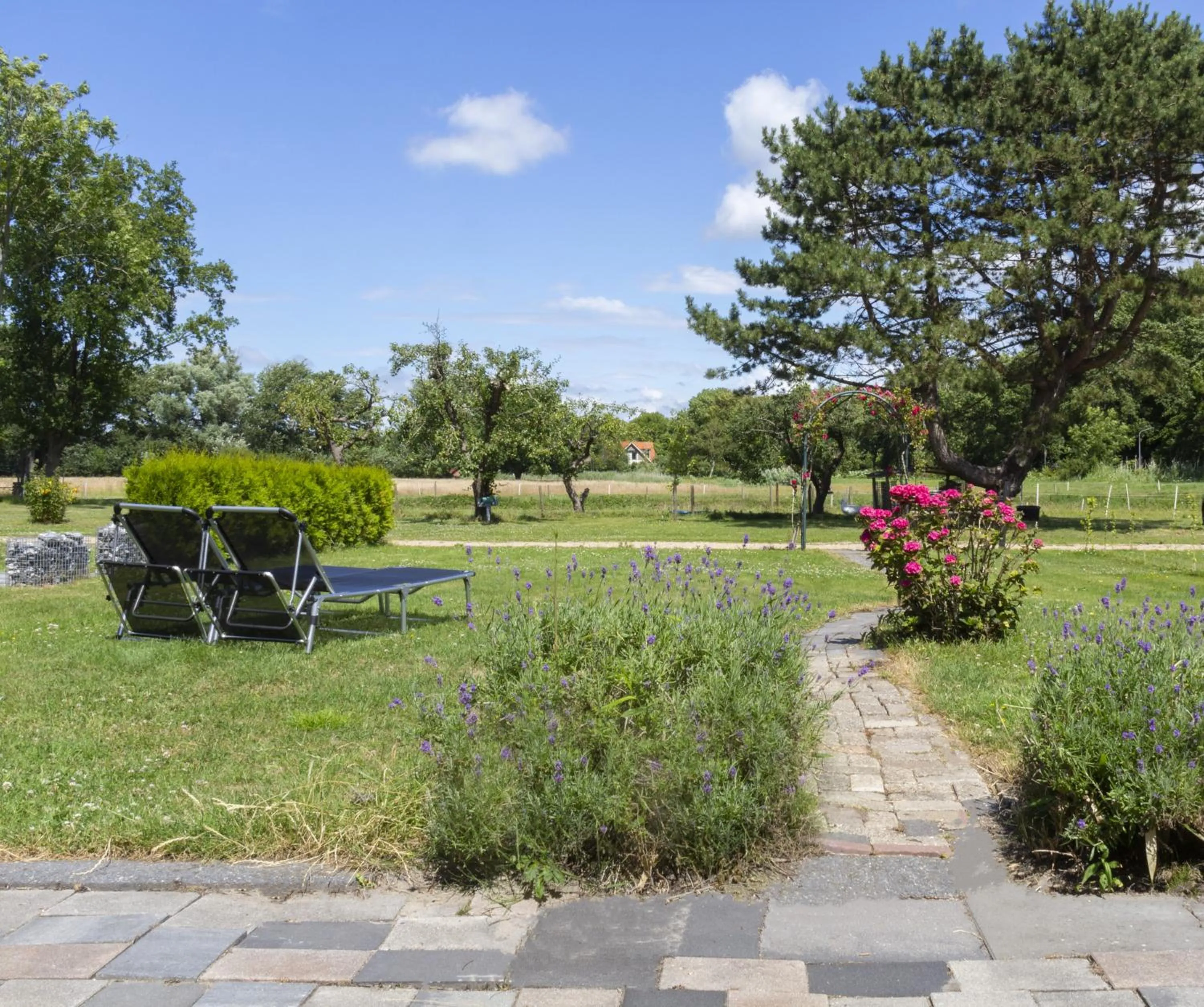 Little Creek - Lodges in het natuurgebied