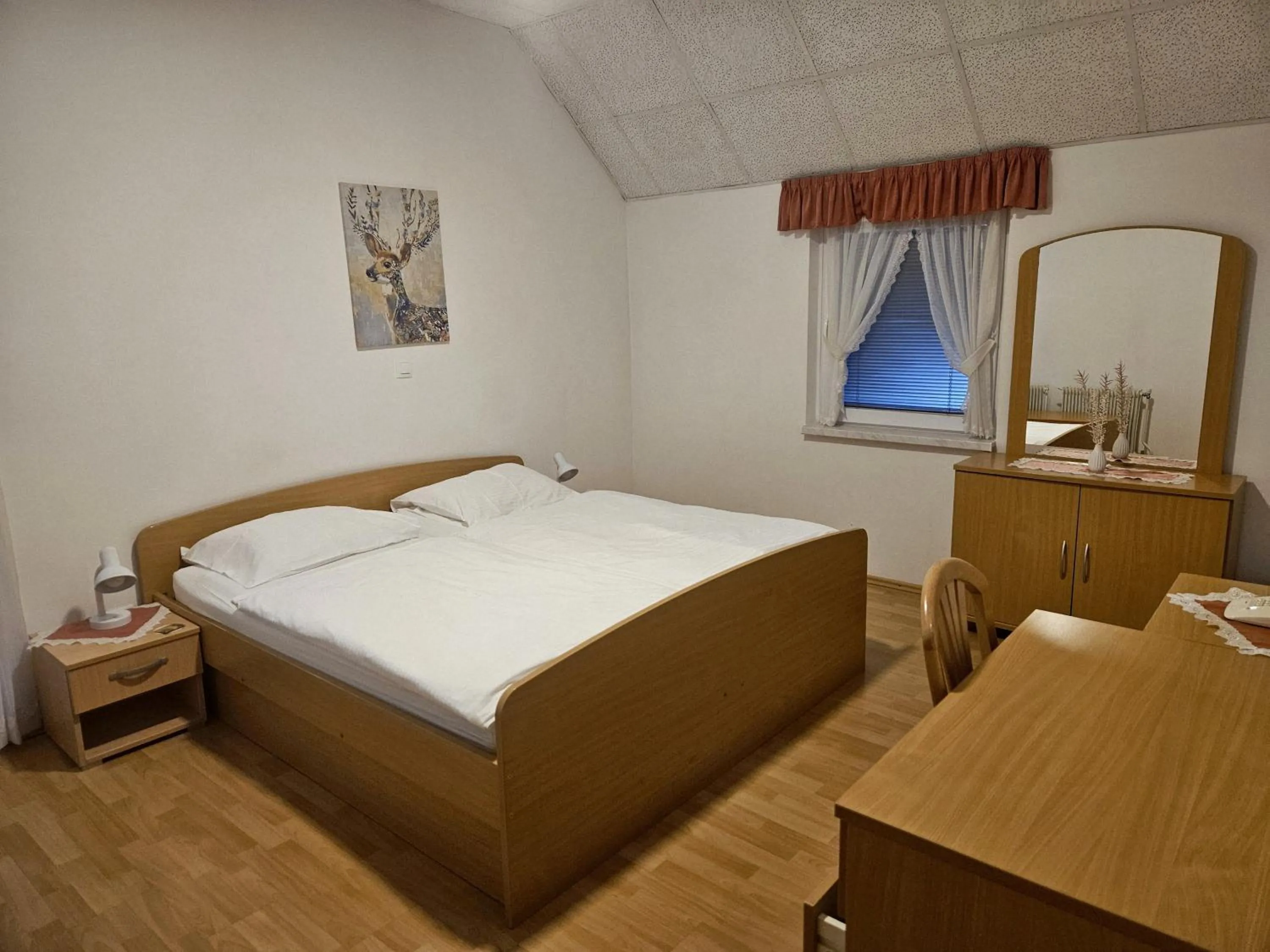 Double Room with Balcony - single occupancy in Prenočišča Mraz