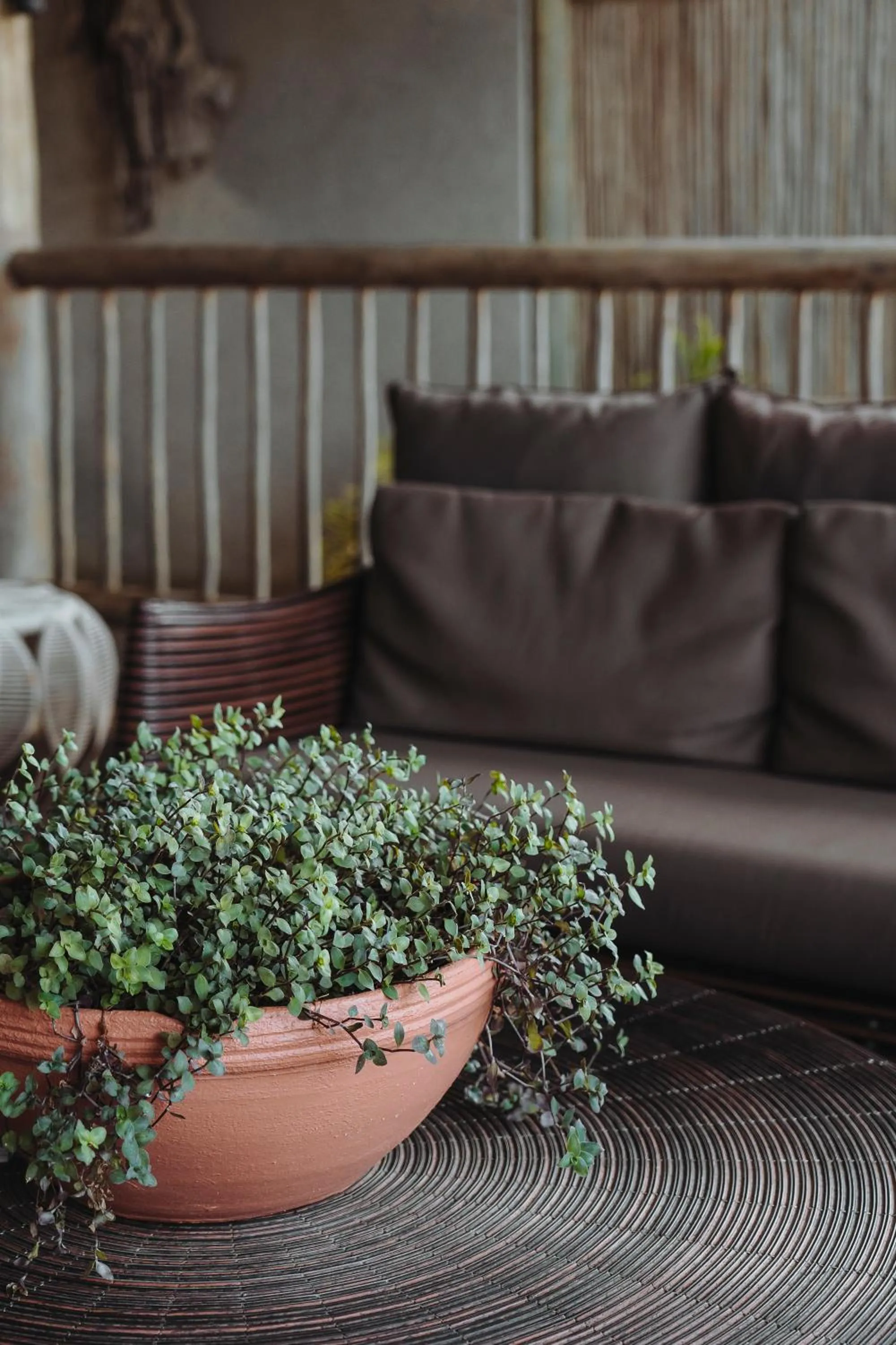 Decorative detail in Pousada Maria Bonita Noronha