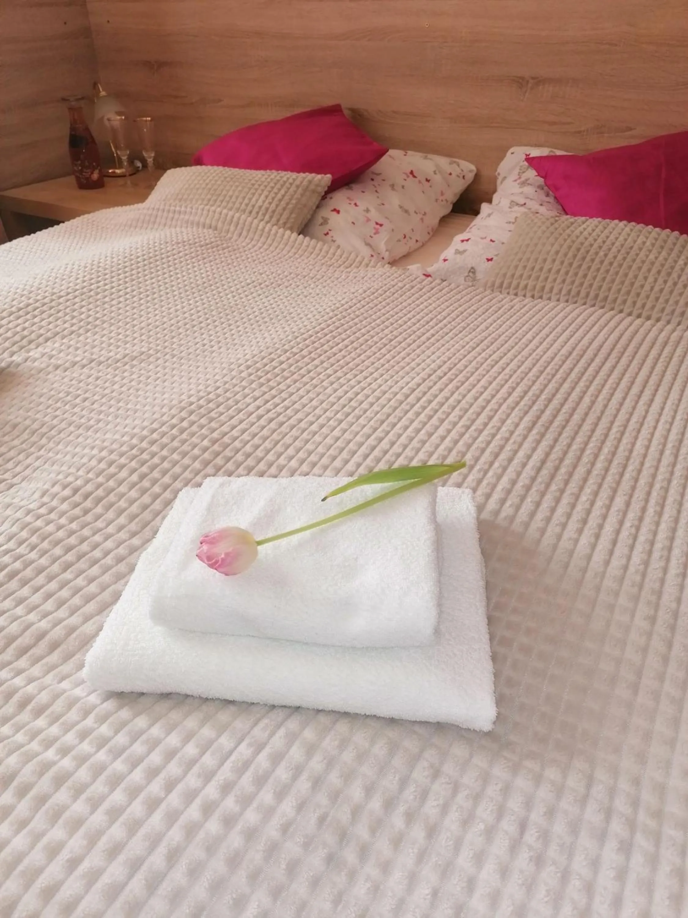 Apartment - single occupancy in Penzion PALMA