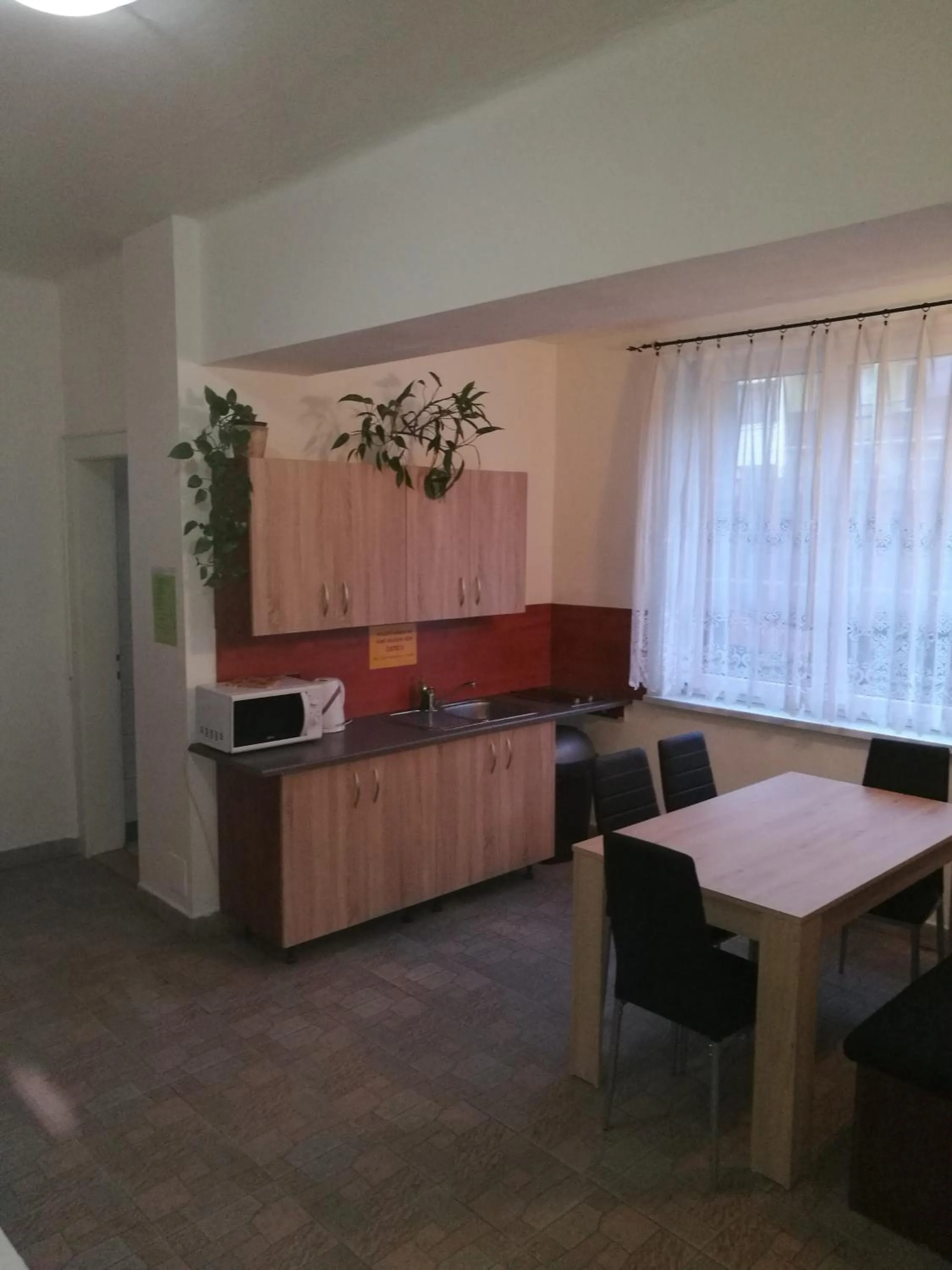 Kitchen or kitchenette in Penzion PALMA