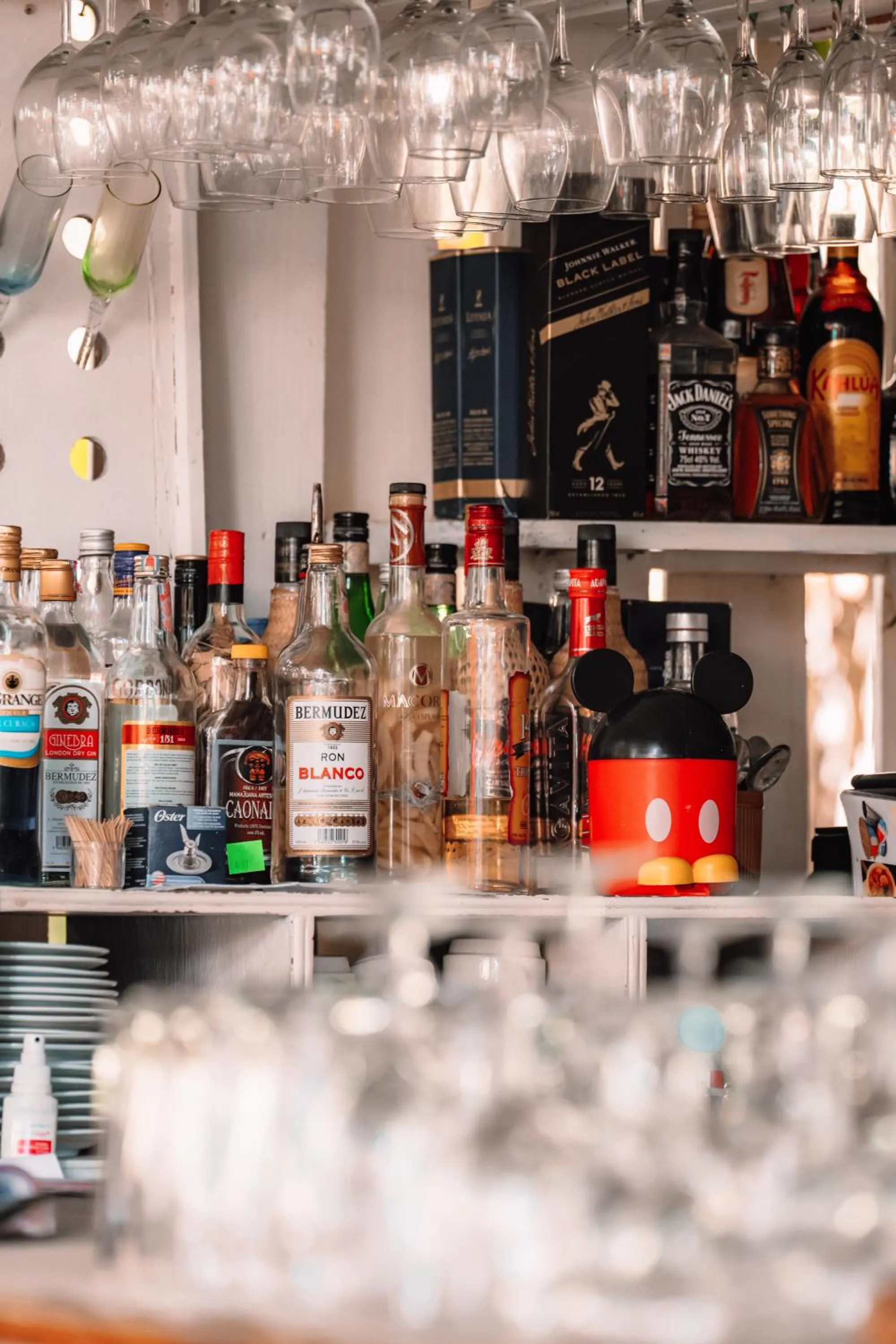 Lounge or bar in Riviera Punta Cana Eco Travelers