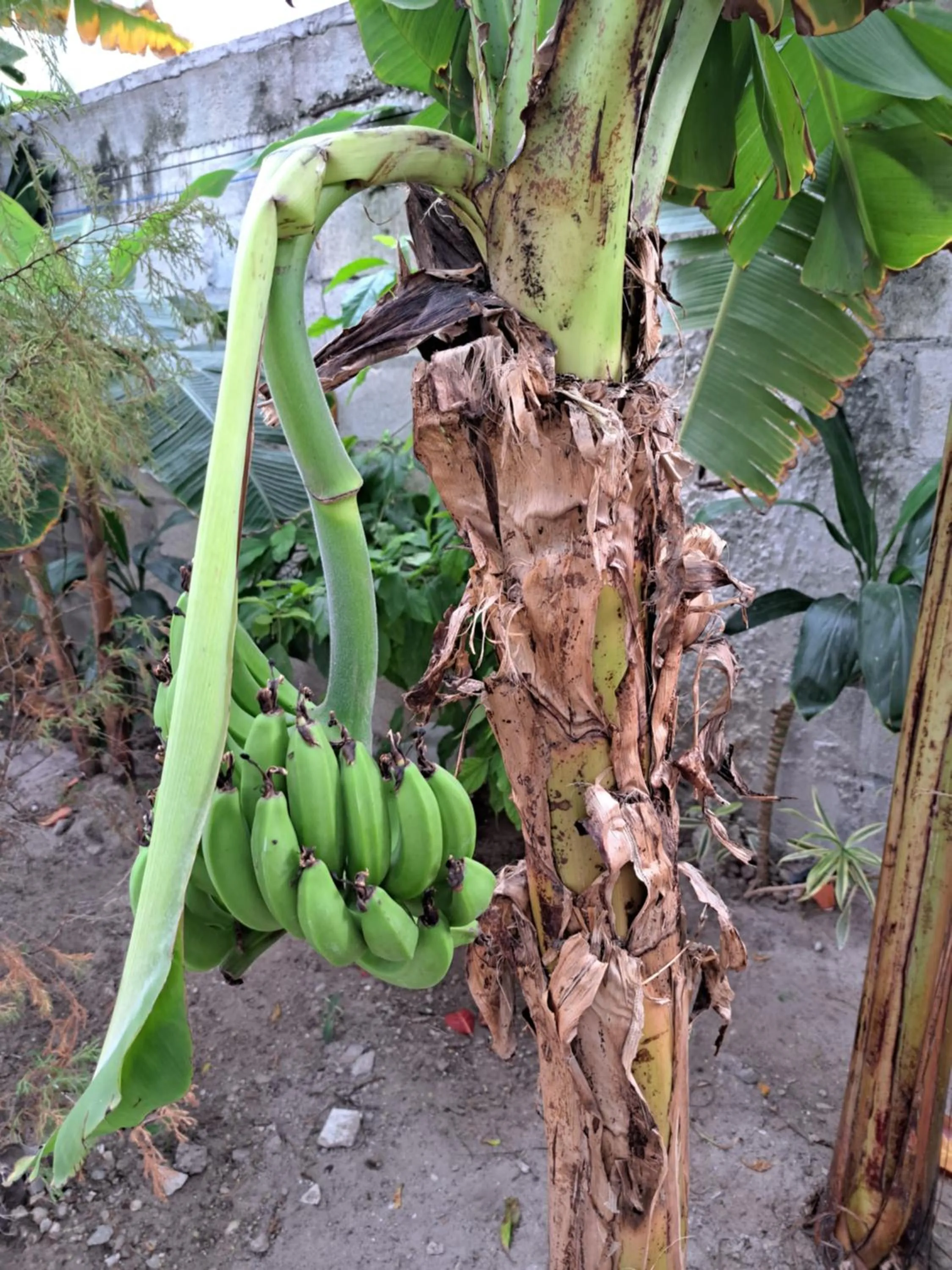 Natural landscape in Riviera Punta Cana Eco Travelers