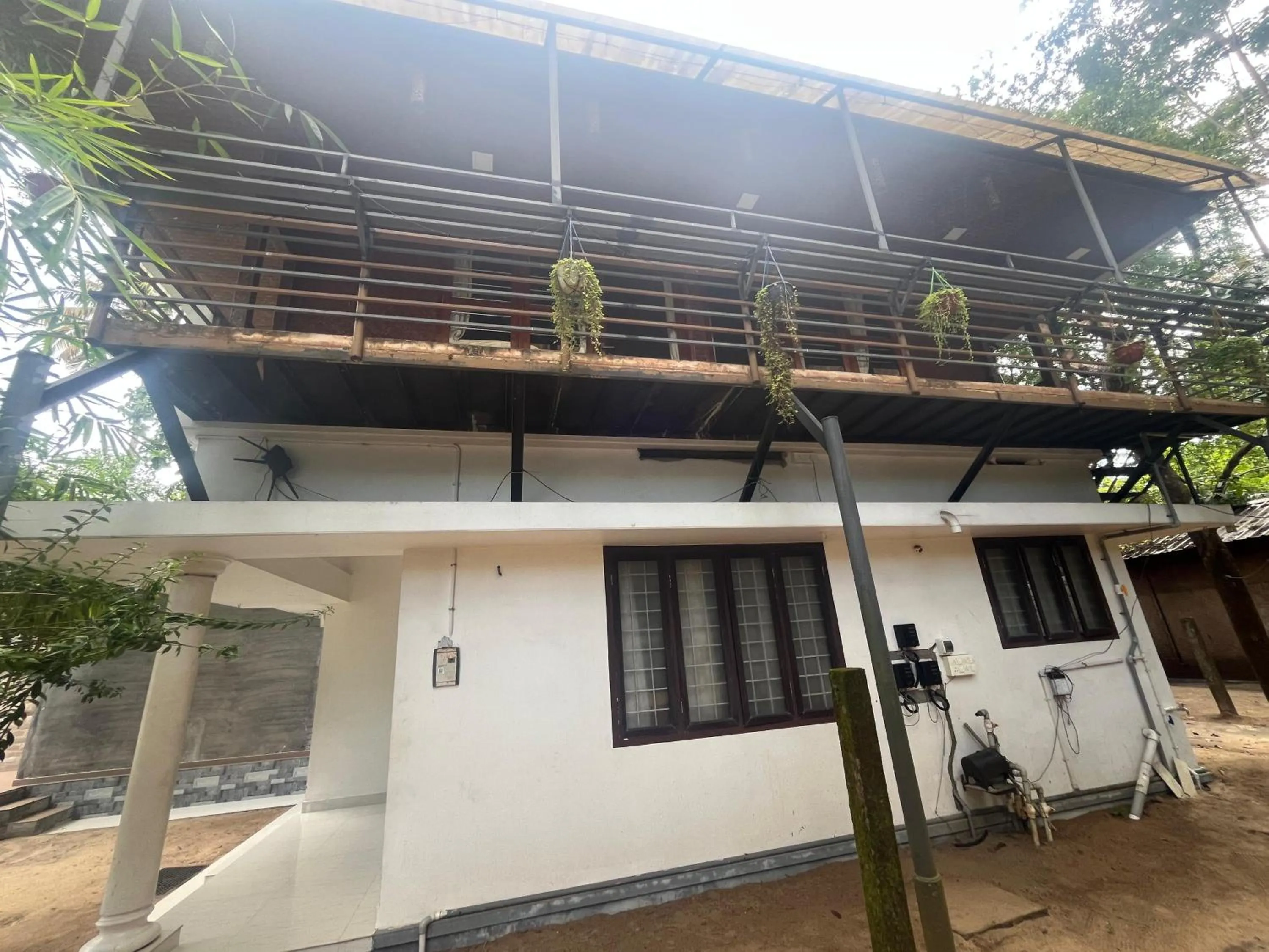 Coconut Garden