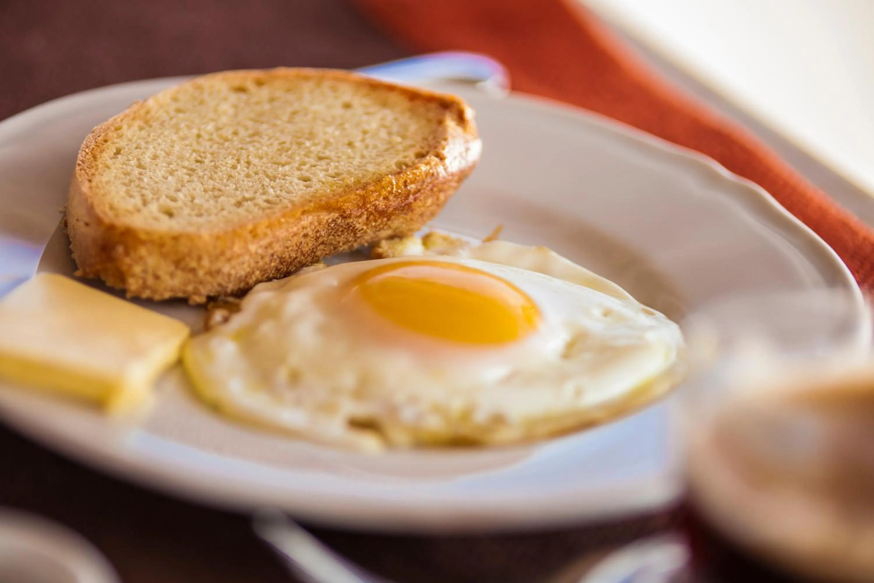 Food close-up in Regina di Ulivi