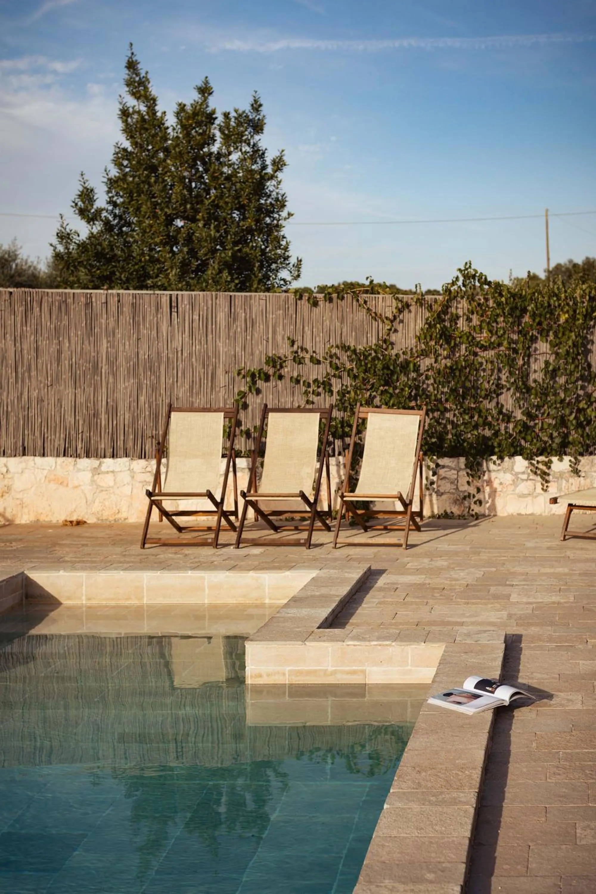 Swimming pool in Regina di Ulivi