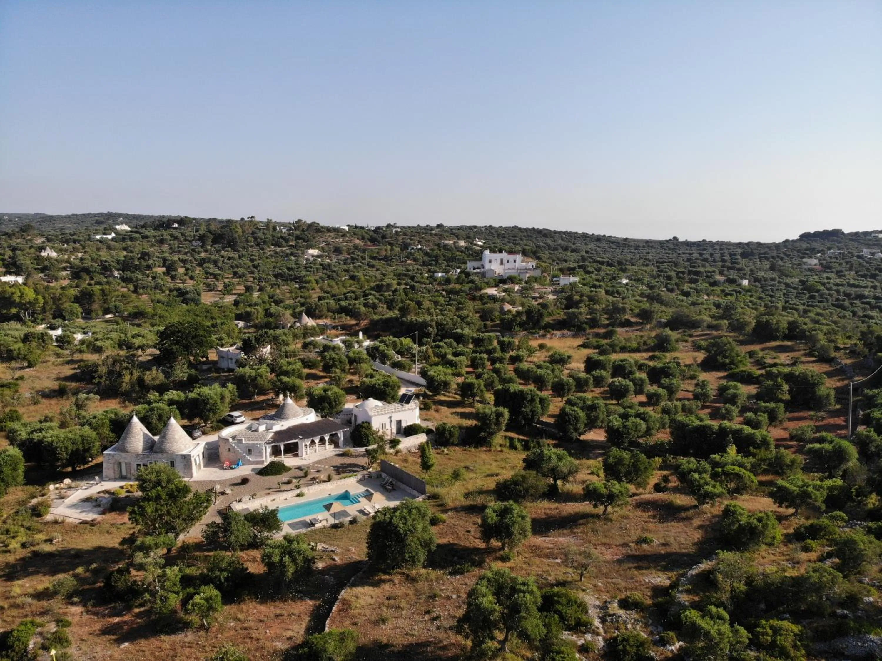 Bird's eye view in Regina di Ulivi