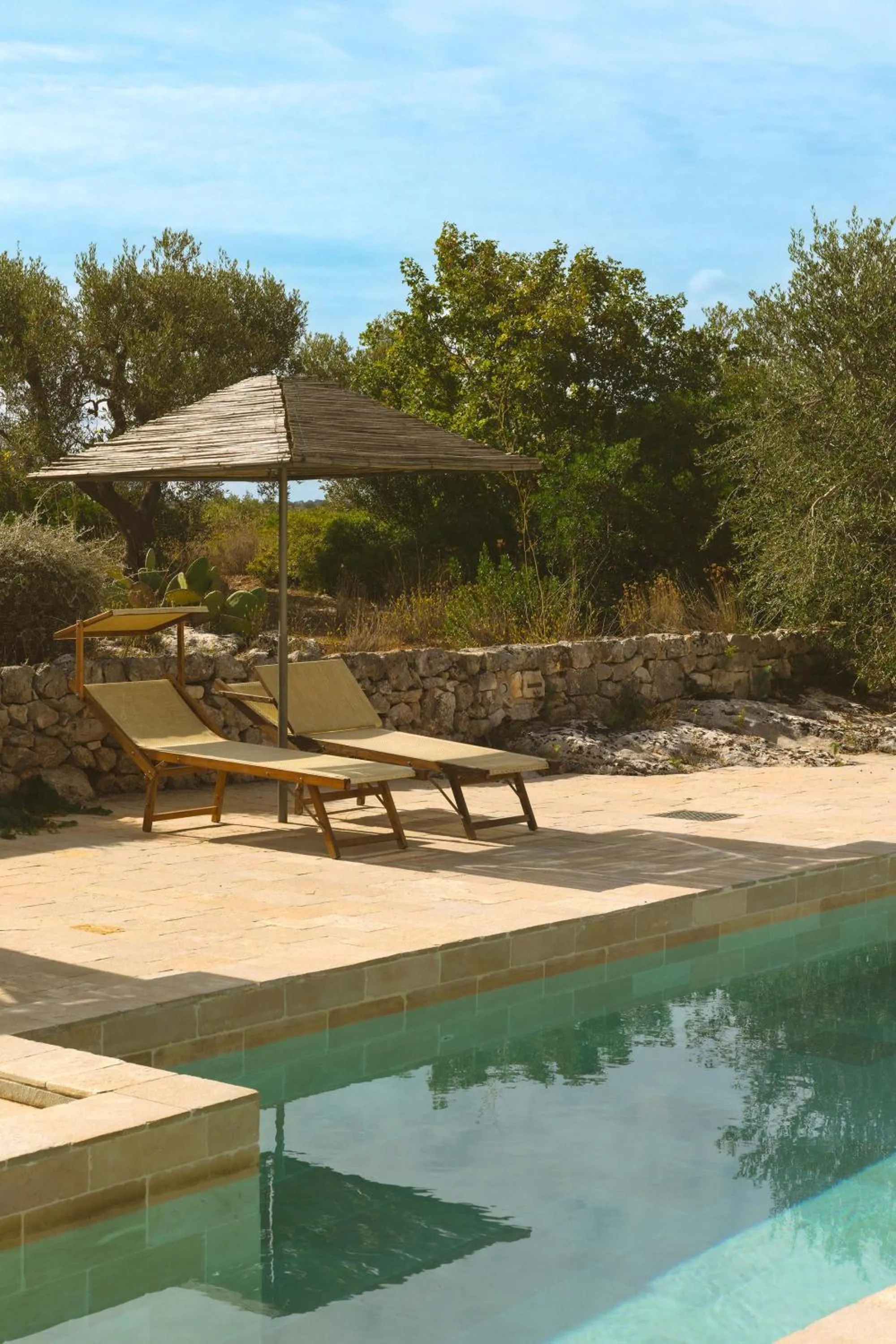 Swimming pool in Regina di Ulivi