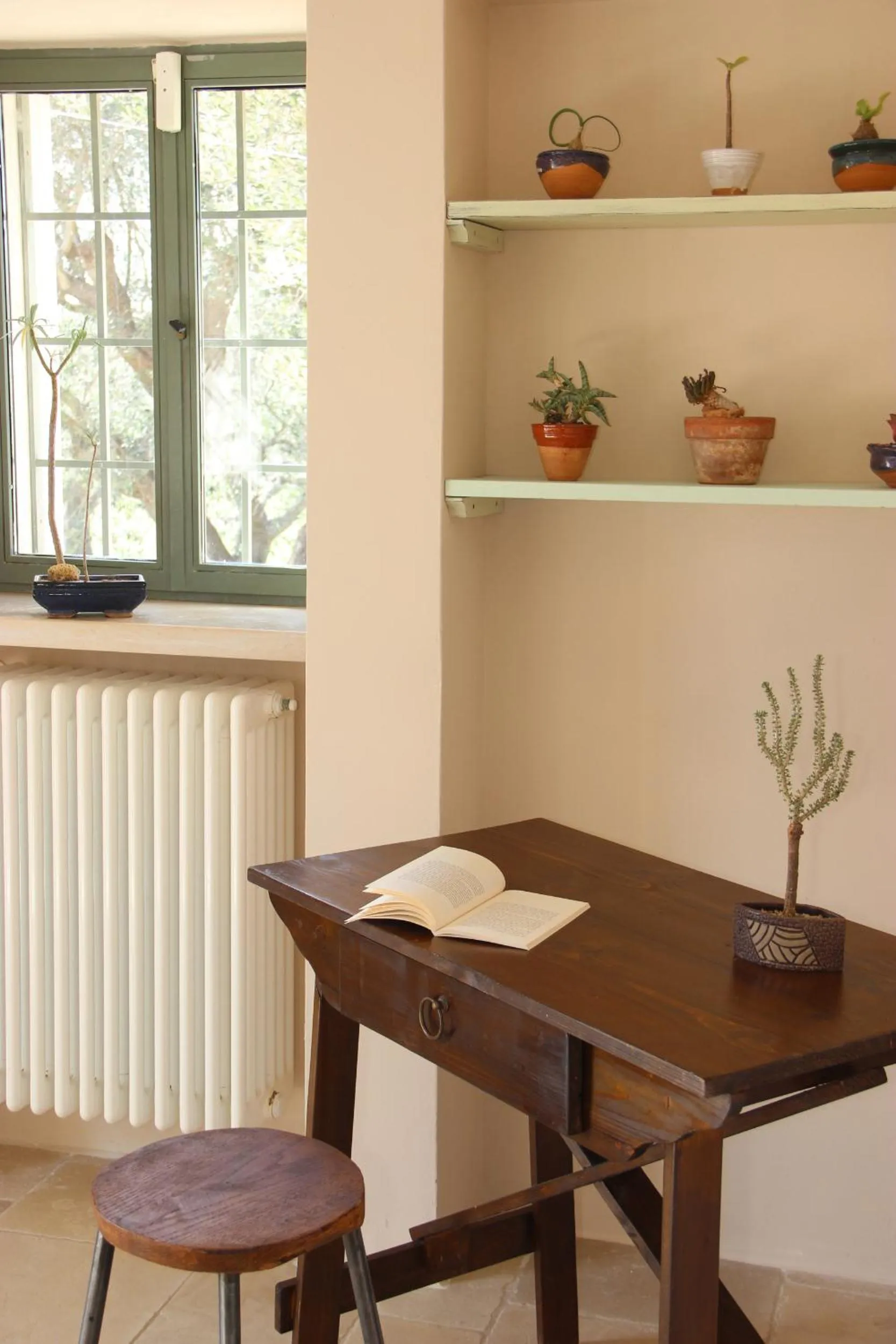 Other in Regina di Ulivi