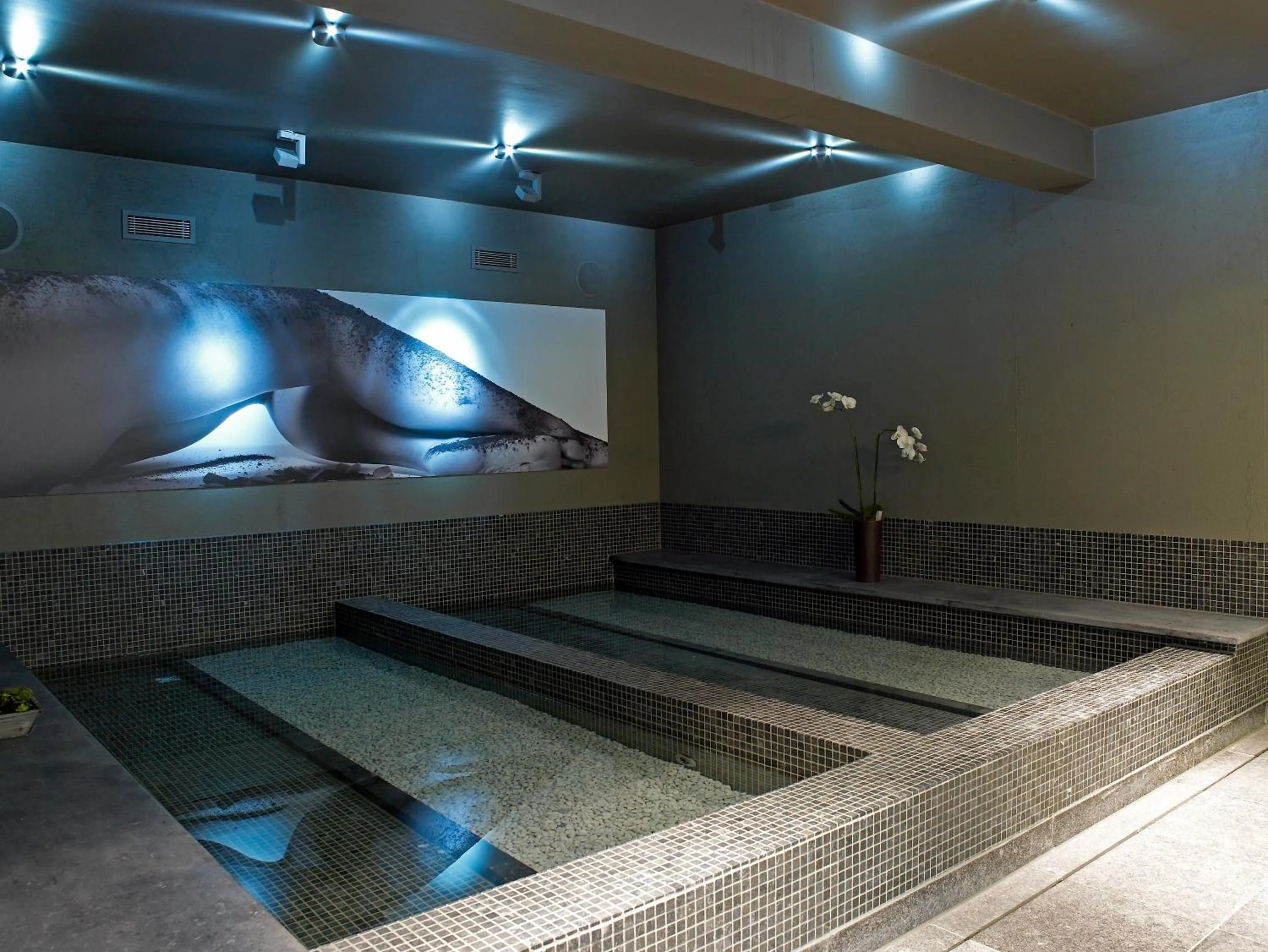 Spa and wellness centre/facilities in D-Hotel