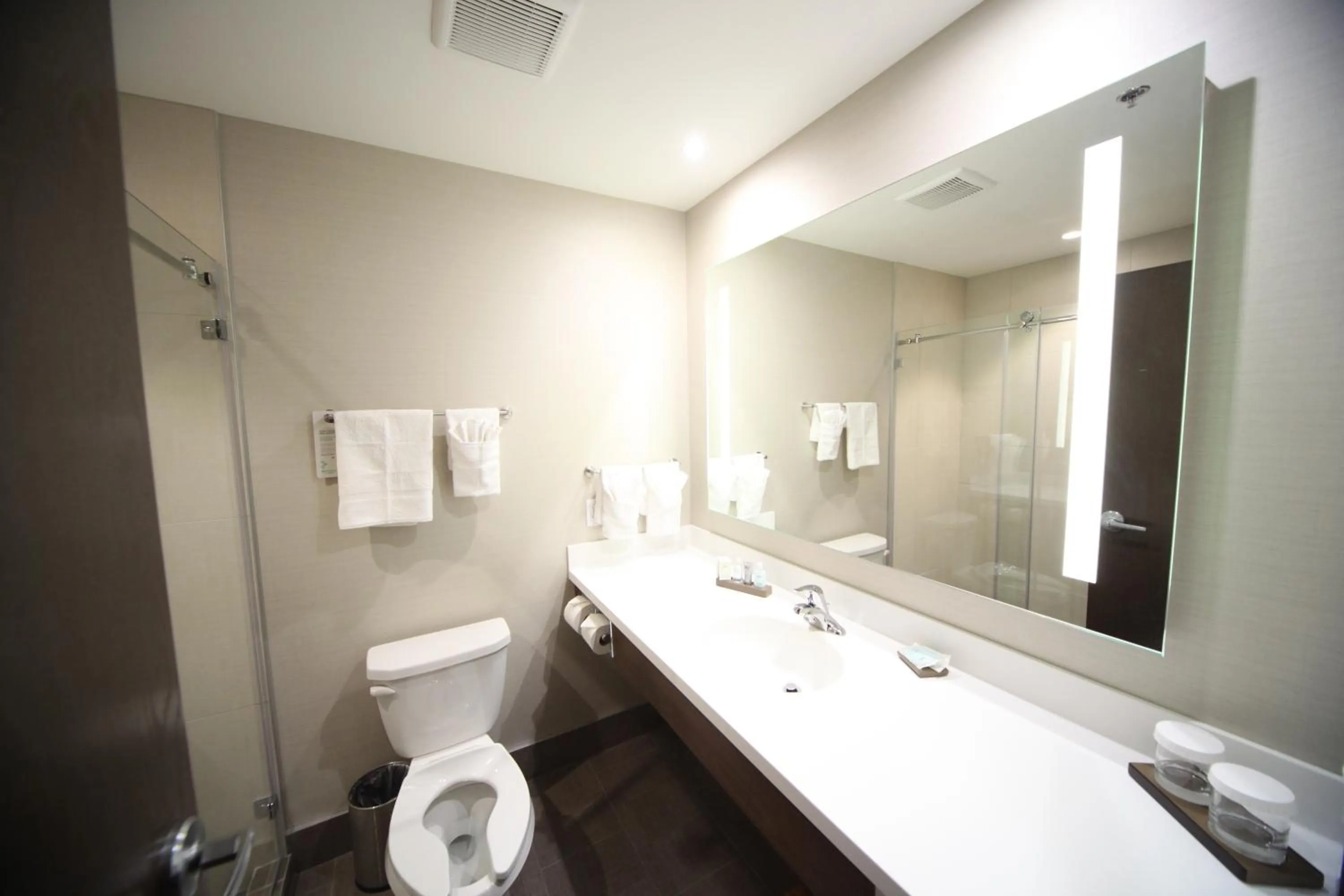 Shower in Wyndham Garden Edmonton Airport