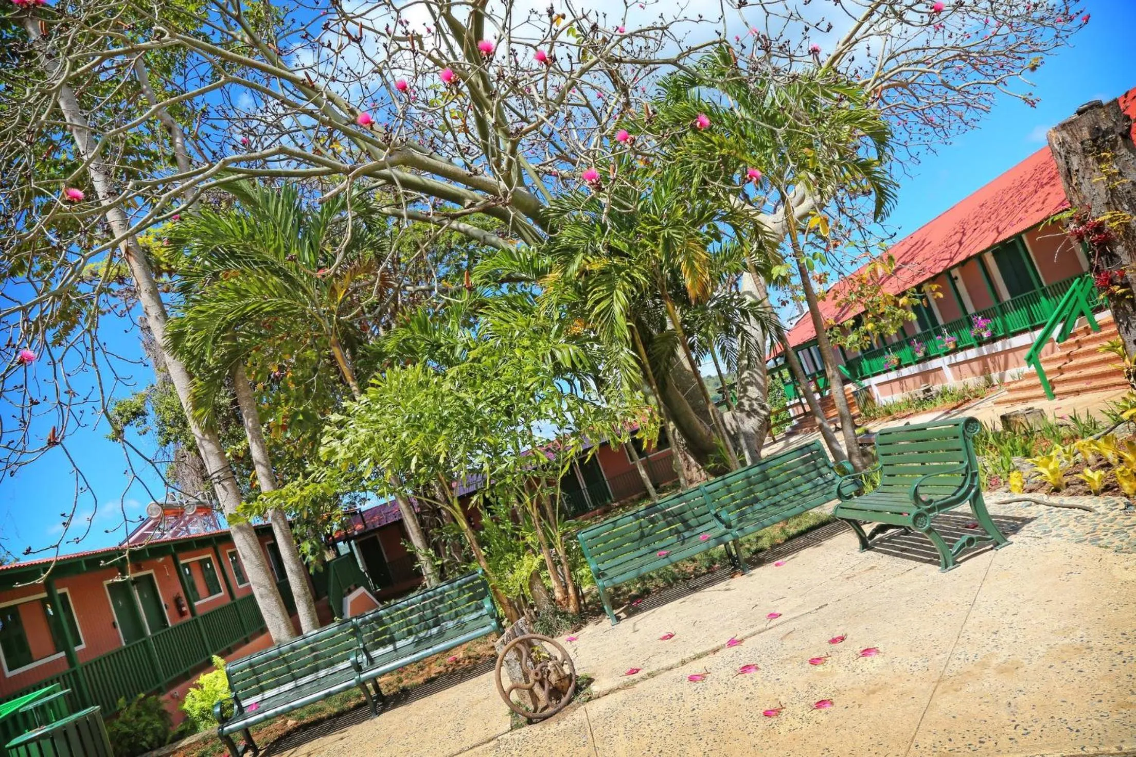 Garden in Hacienda Juanita