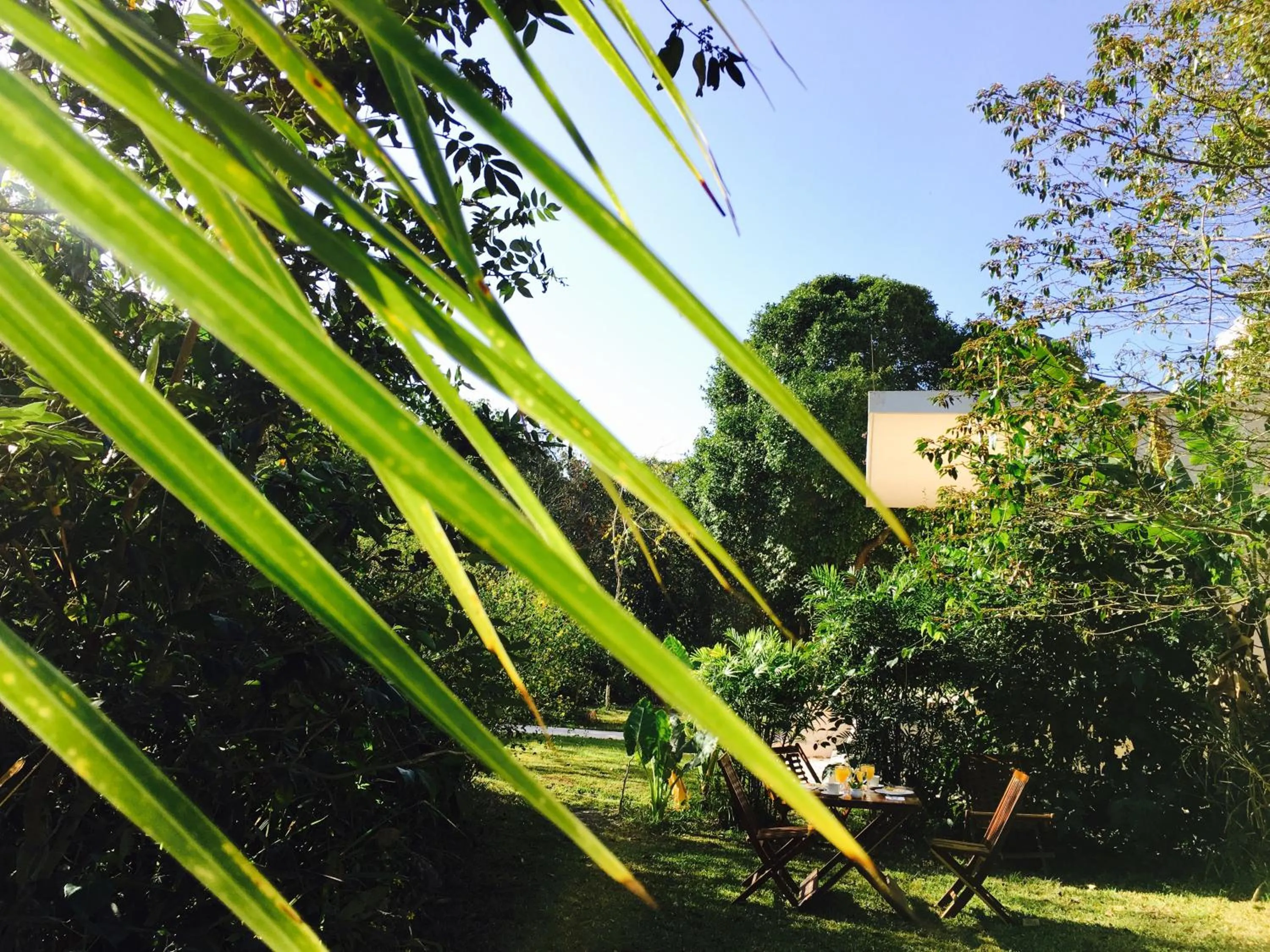 Garden view in Hotel Casa Maya Calakmul