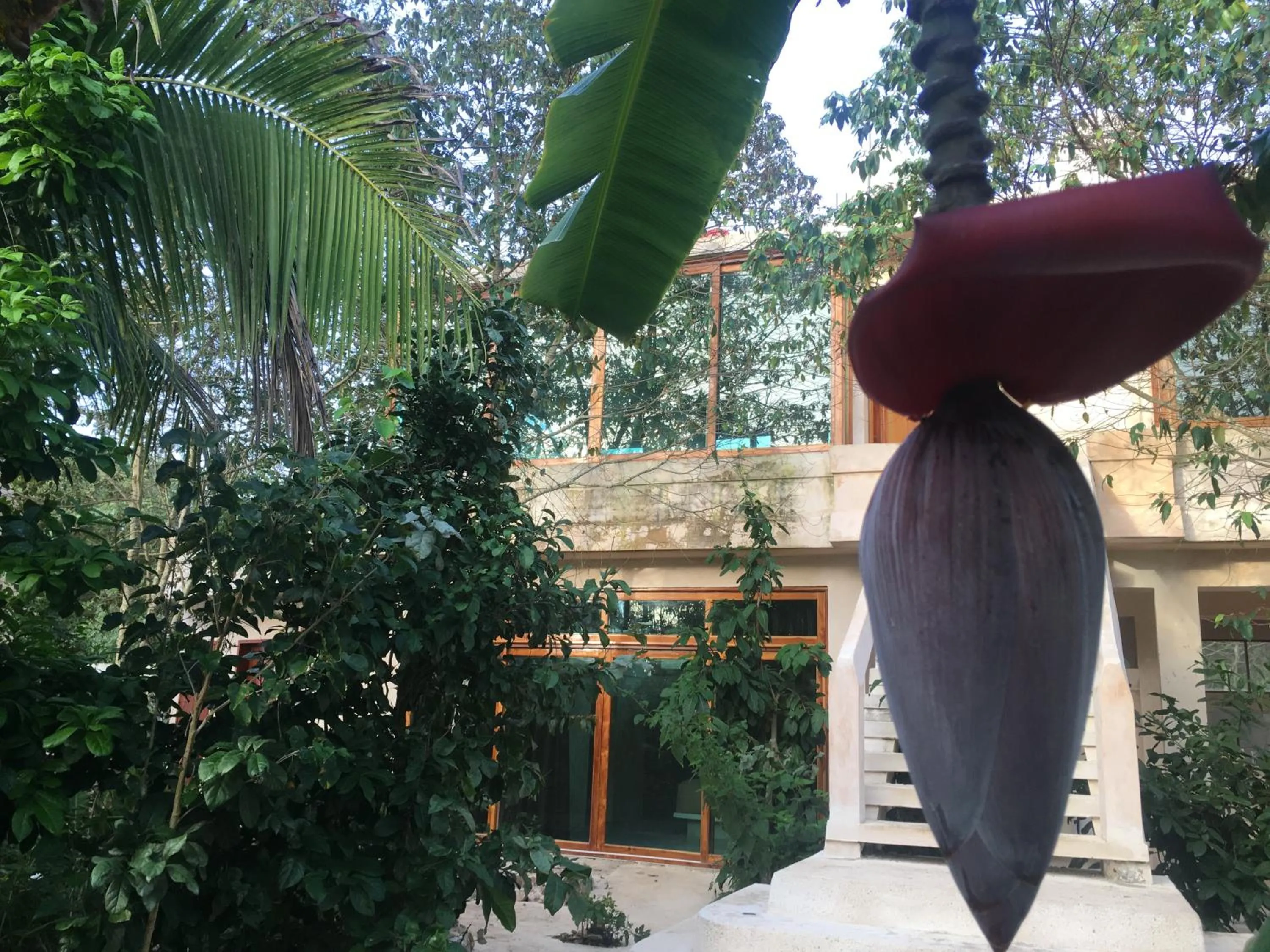 Garden view in Hotel Casa Maya Calakmul