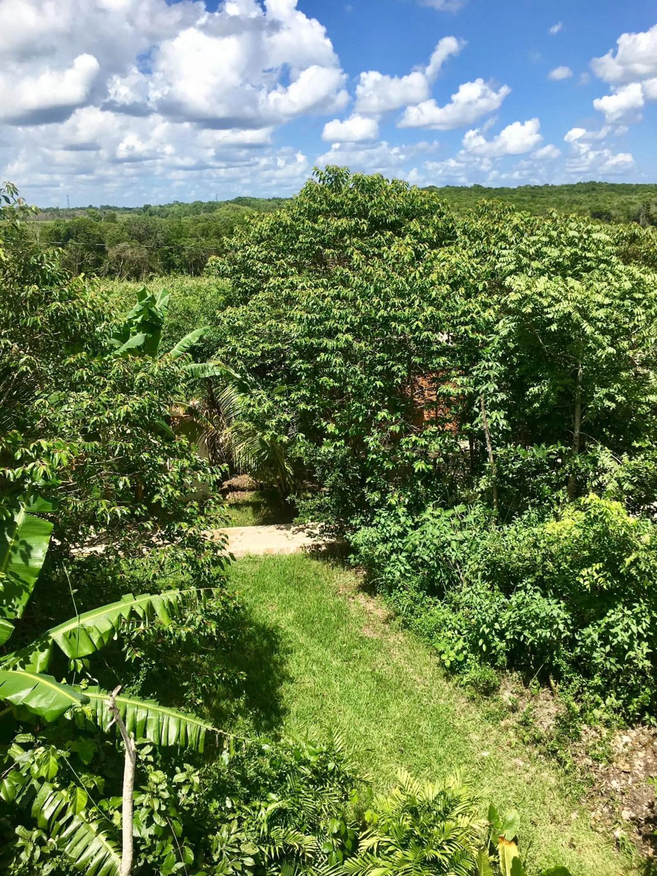 Bird's eye view in Hotel Casa Maya Calakmul