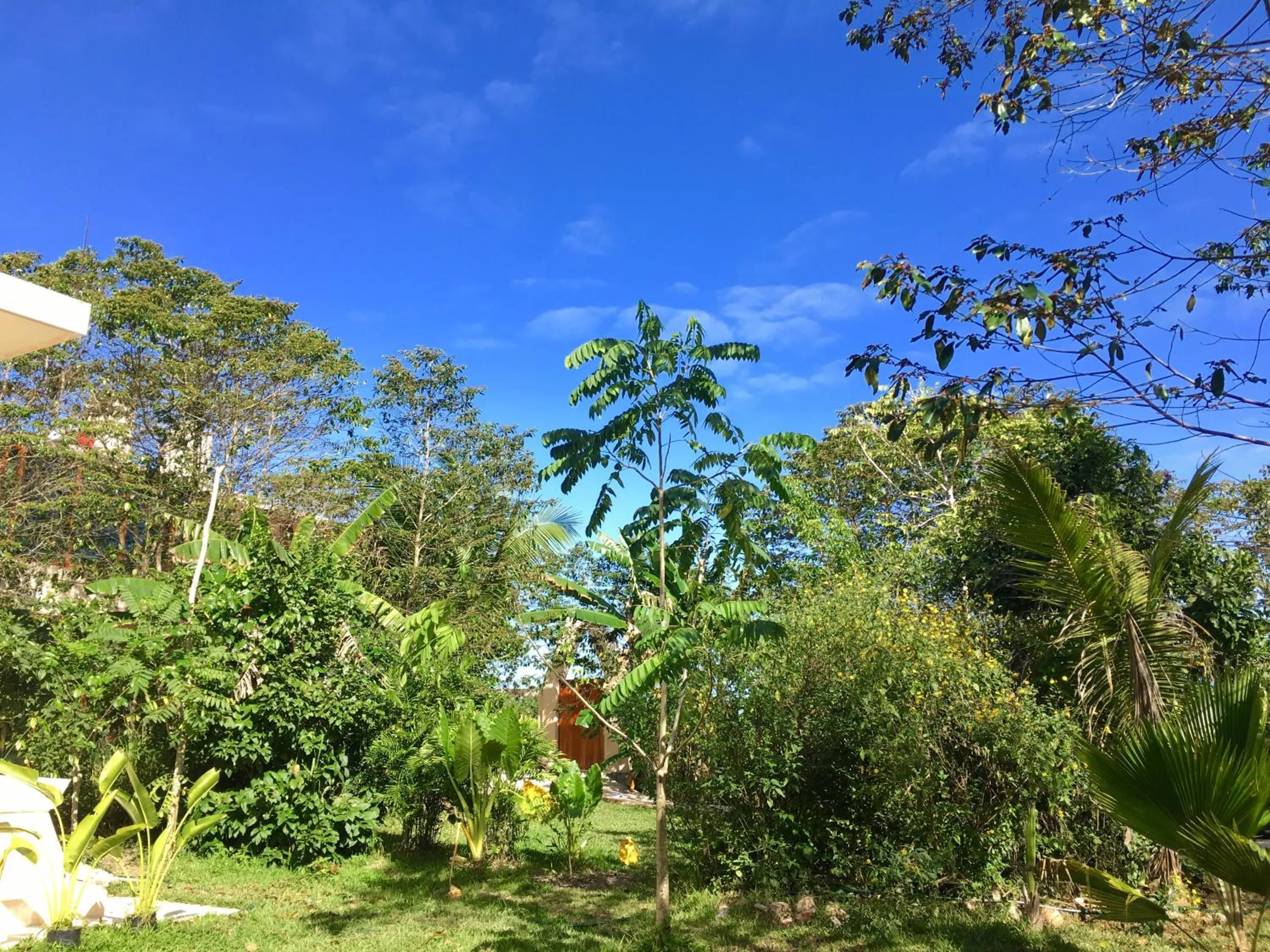 Bird's eye view in Hotel Casa Maya Calakmul