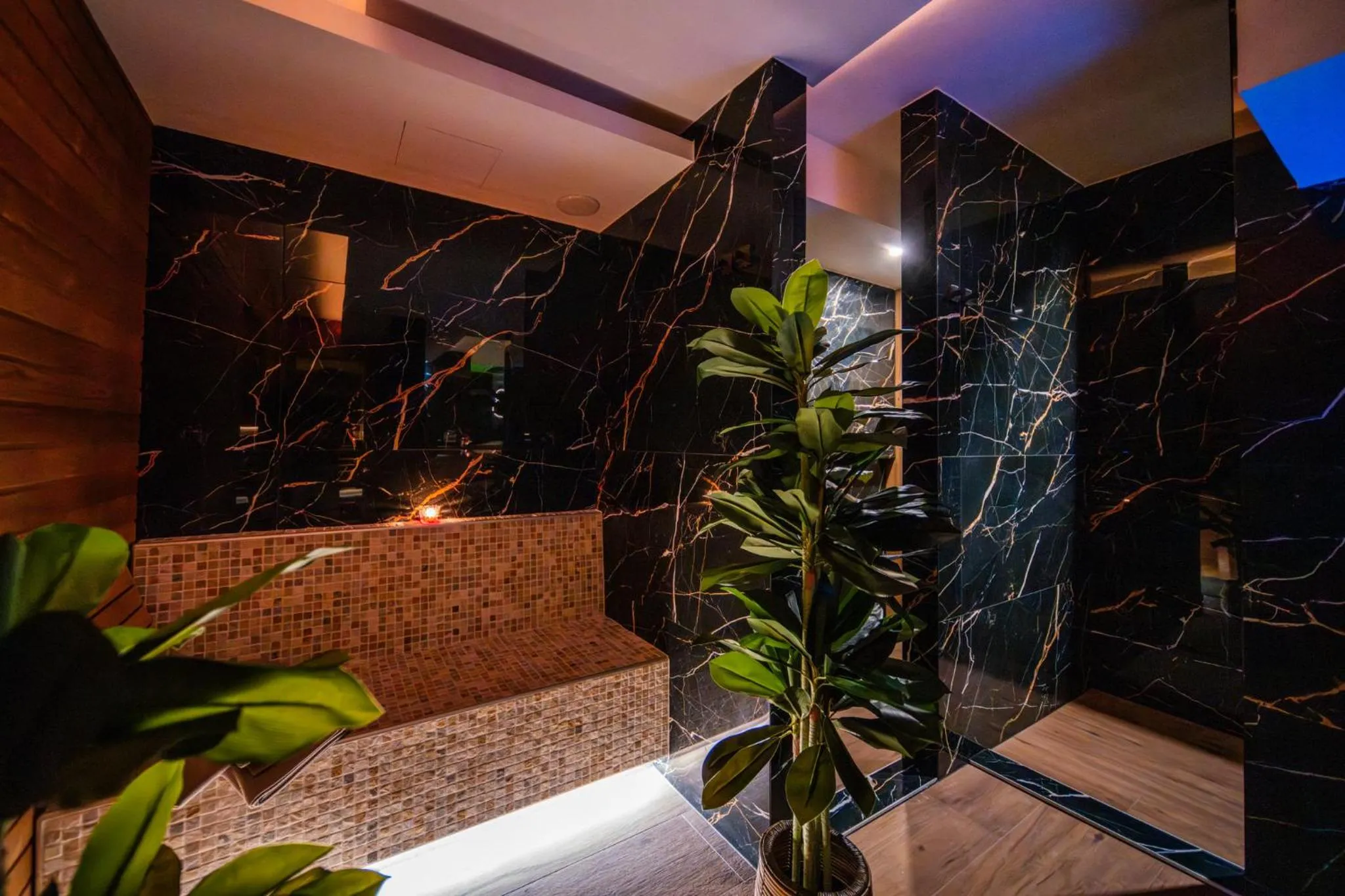 Spa and wellness centre/facilities in Hotel Zagi