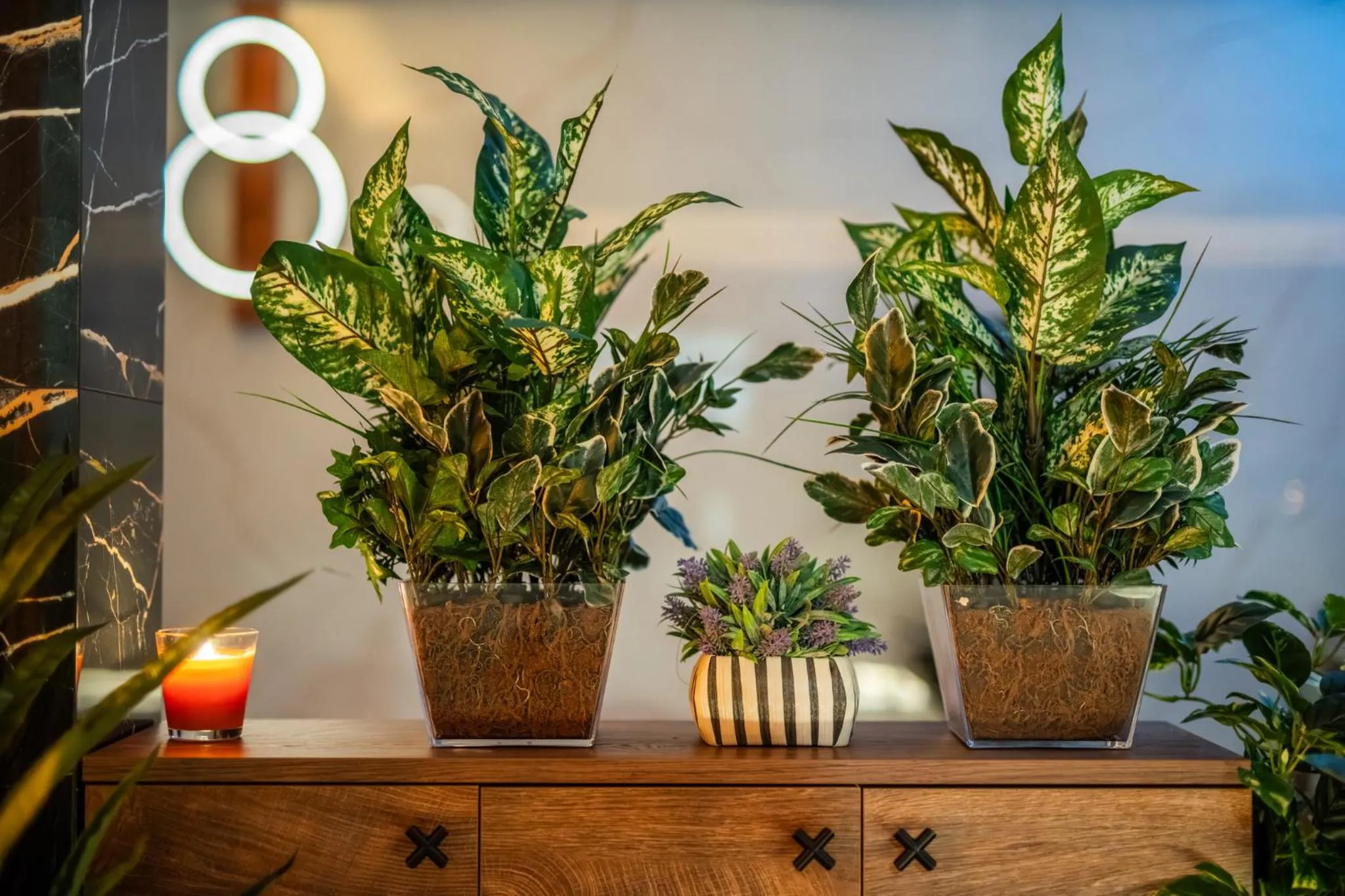 Spa and wellness centre/facilities in Hotel Zagi