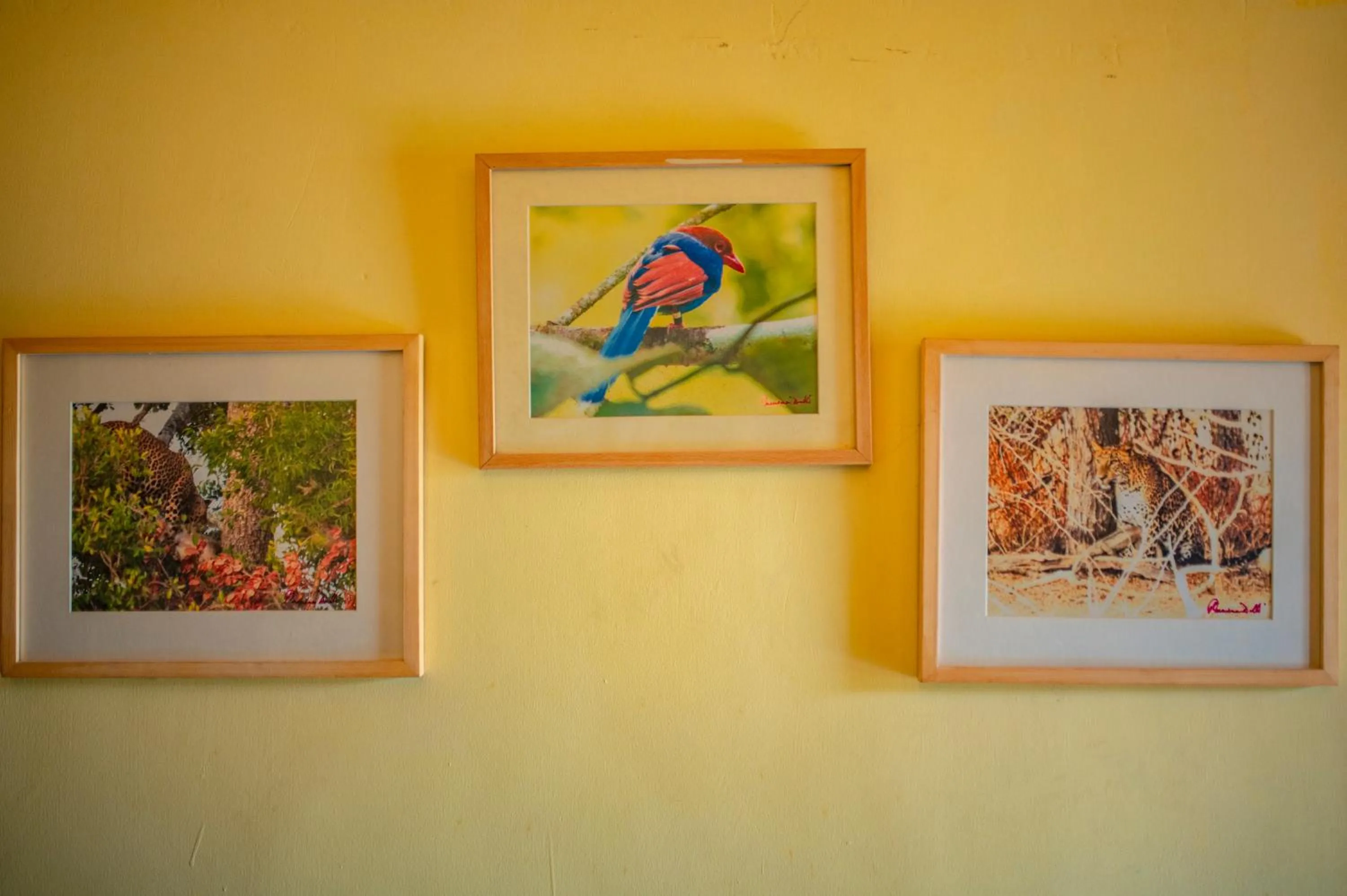 Bedroom in Eco Adventure Resorts Khhairabera