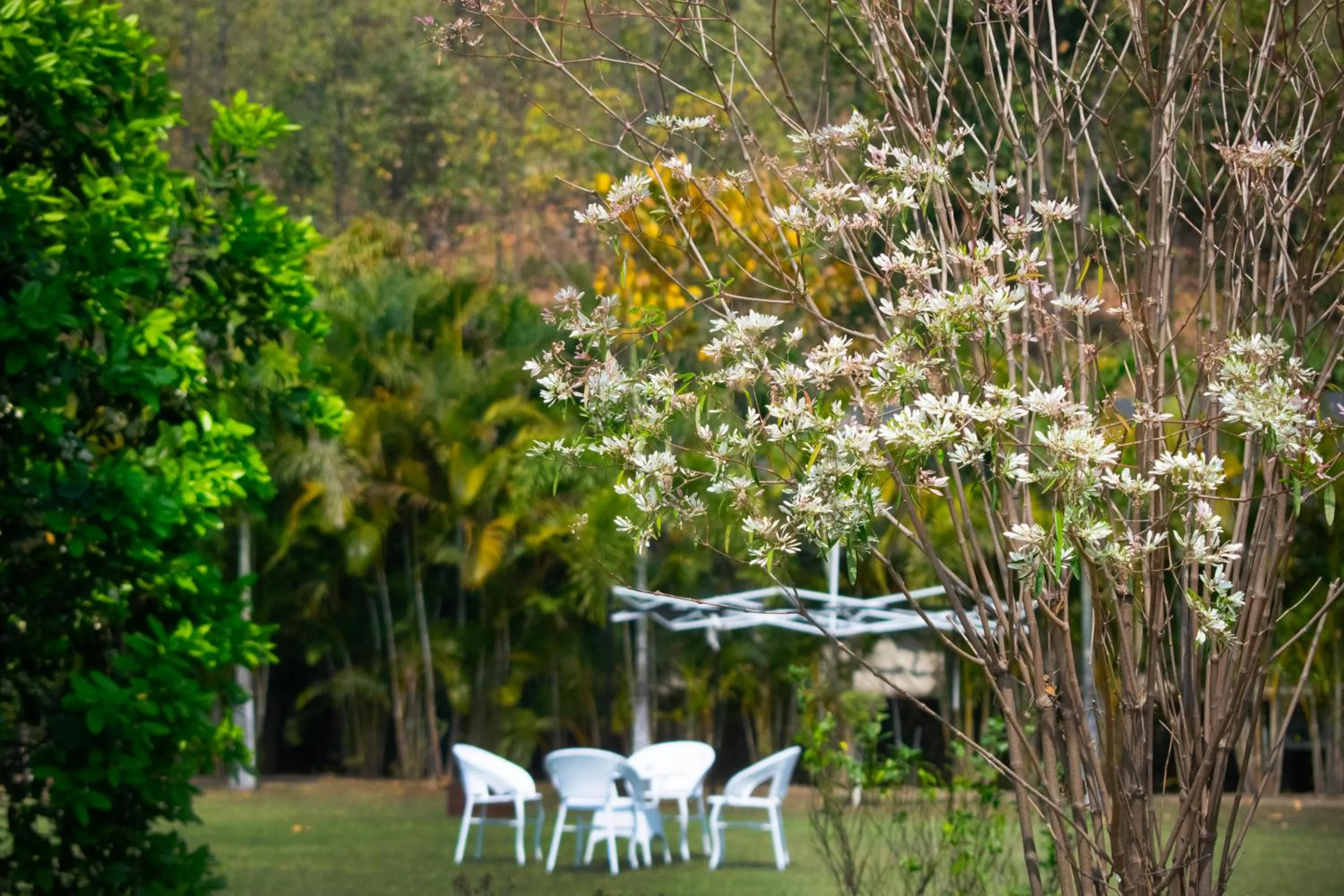 Garden in Eco Adventure Resorts Khhairabera