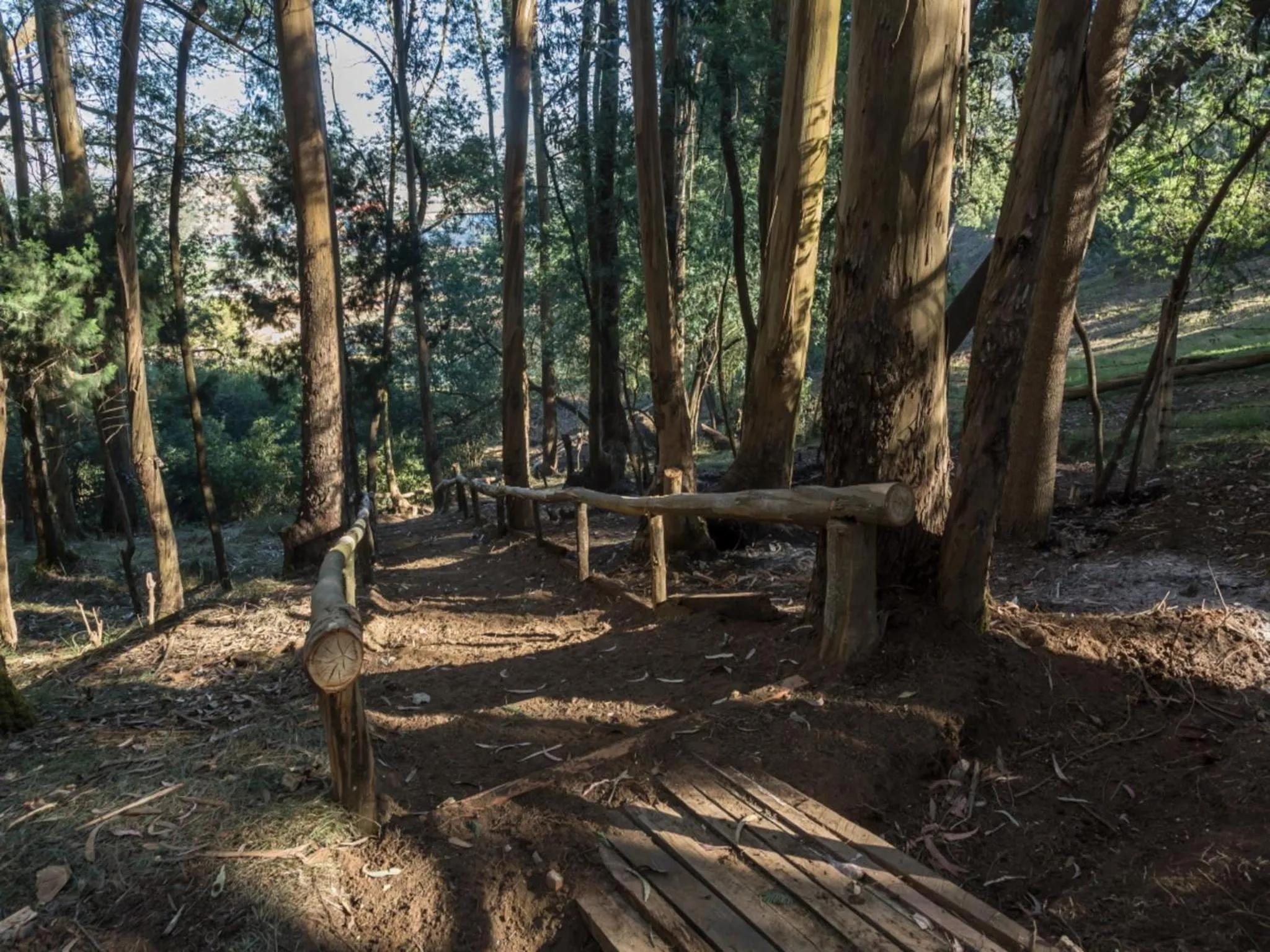 Spring in SaffronStays Milton Abbott Estate - 2BR colonial-era bungalow with garden, golf course views & bonfire nights near Ooty Golf Club