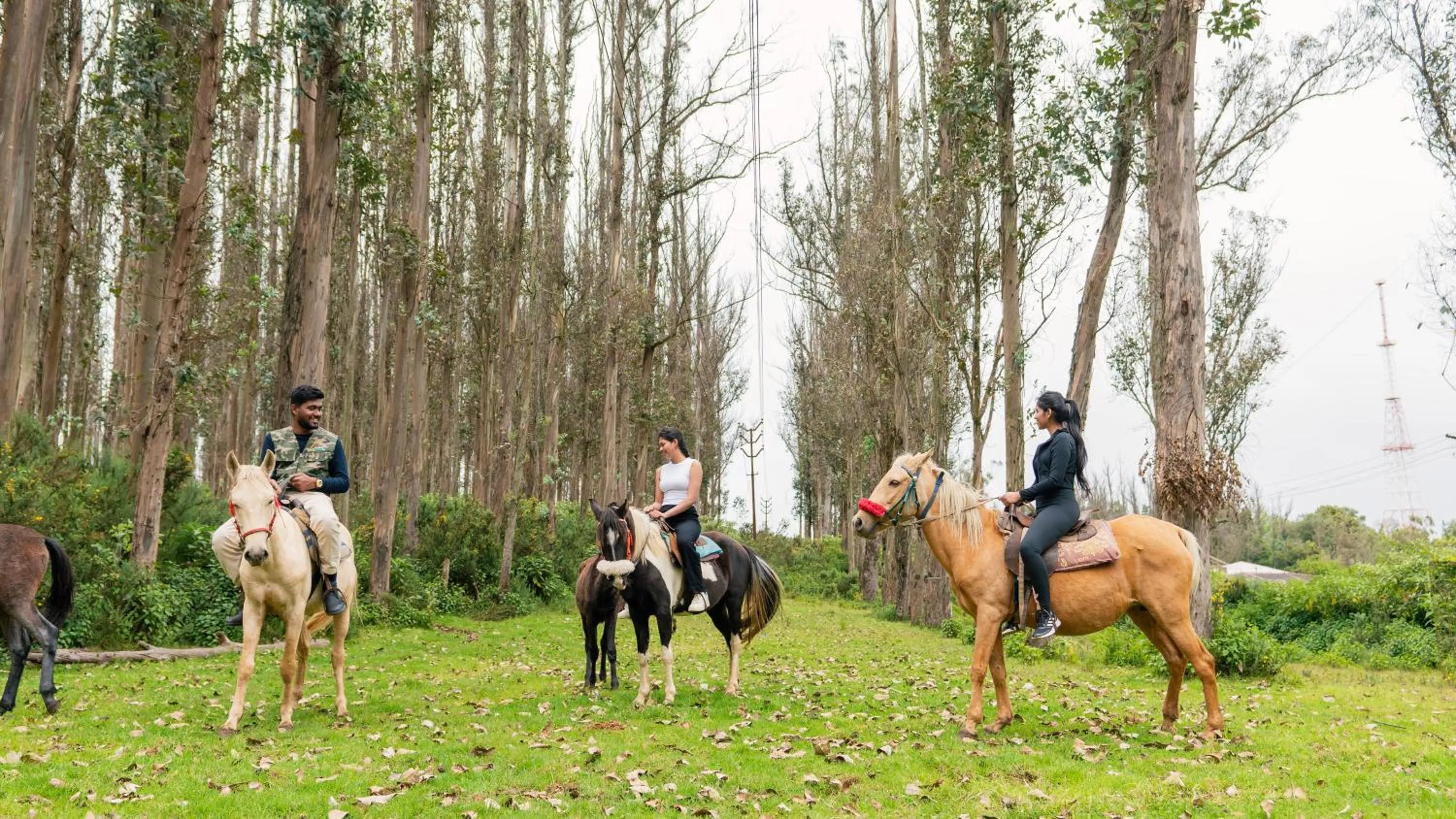 Activities in SaffronStays Milton Abbott Estate - 2BR colonial-era bungalow with garden, golf course views & bonfire nights near Ooty Golf Club