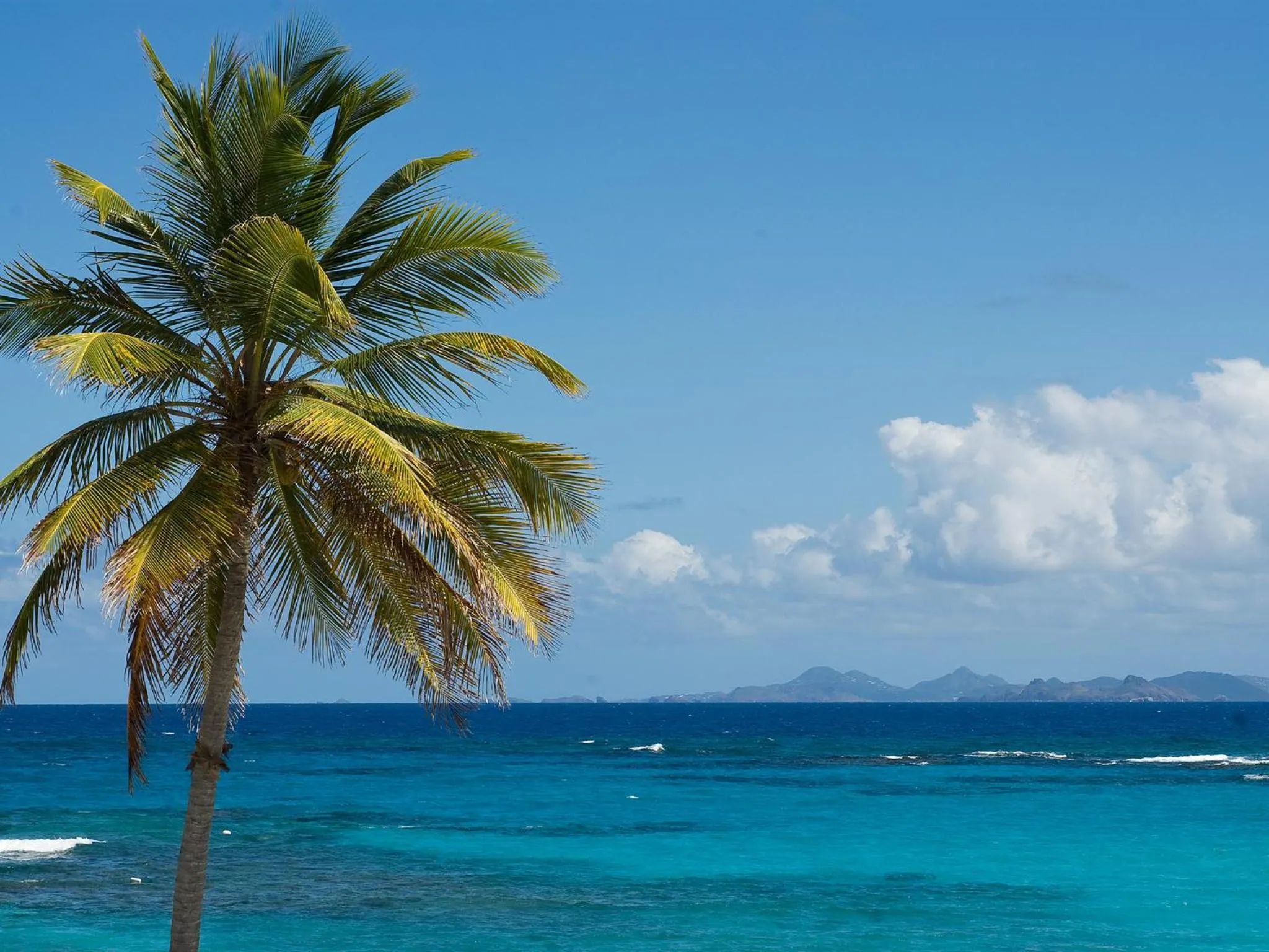 Beach in Coral Beach Club Villas & Marina