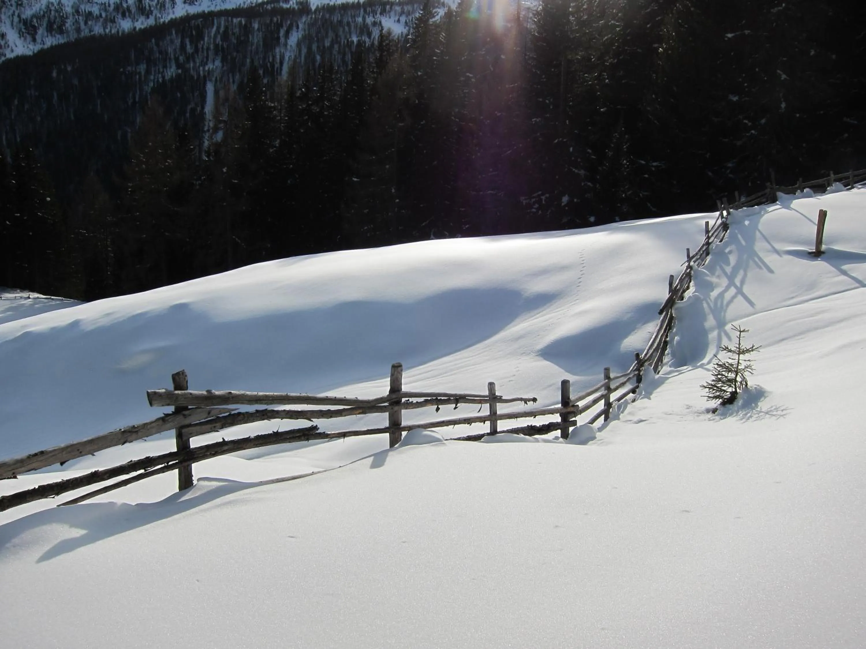Natural landscape in Residence Karnutsch