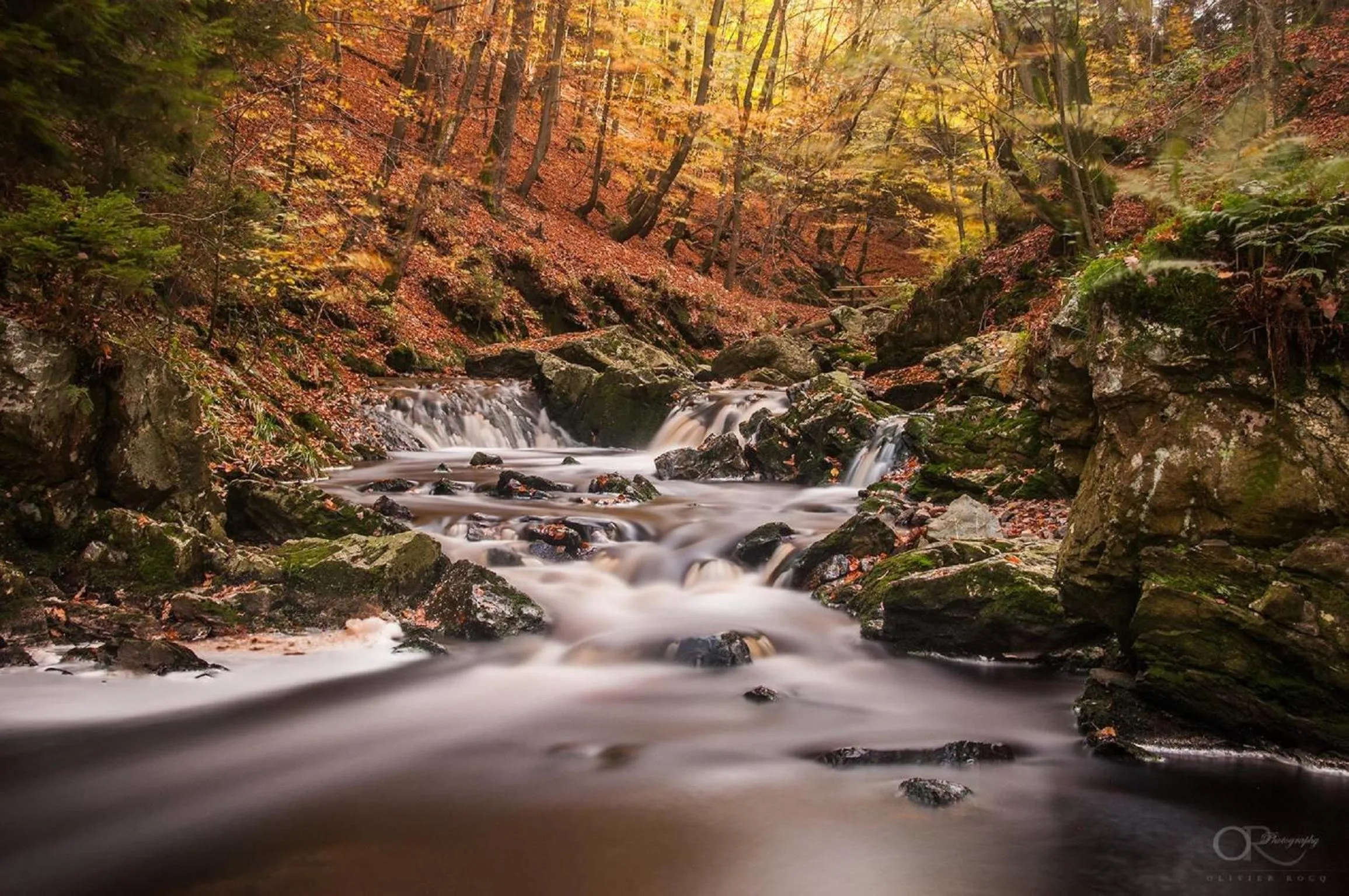 Area and facilities in B&B Barvaux, Durbuy