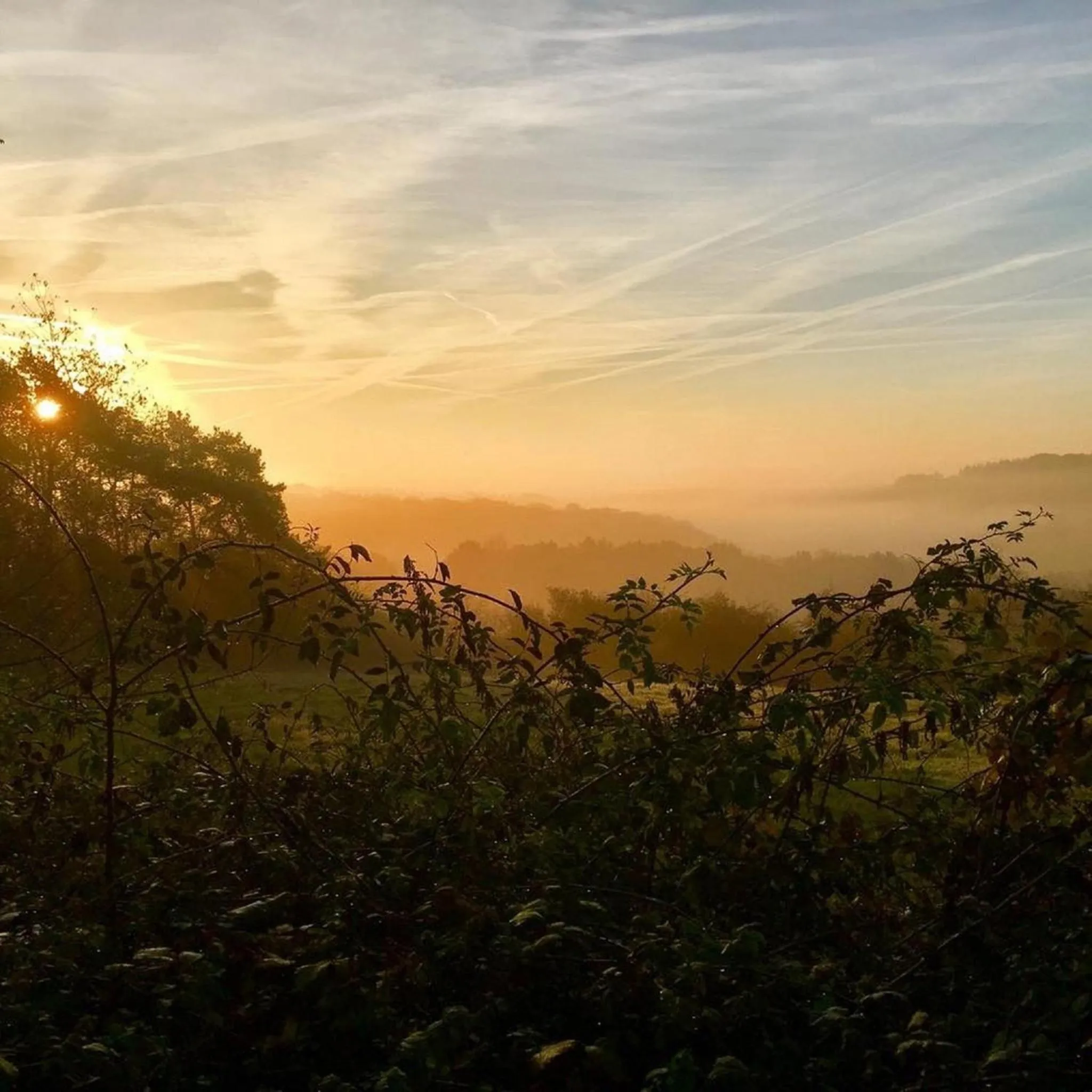 Natural landscape in B&B Barvaux, Durbuy