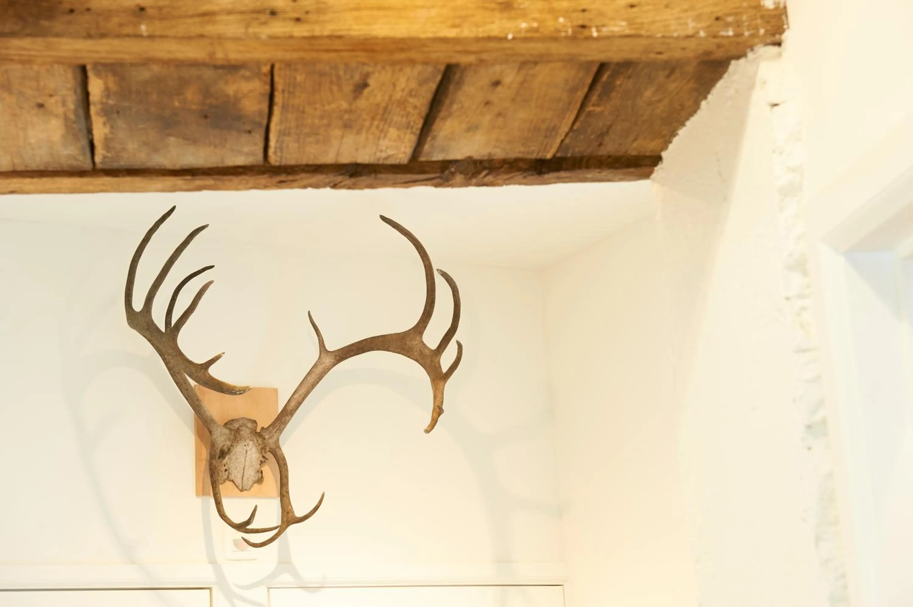 Decorative detail in B&B Barvaux, Durbuy