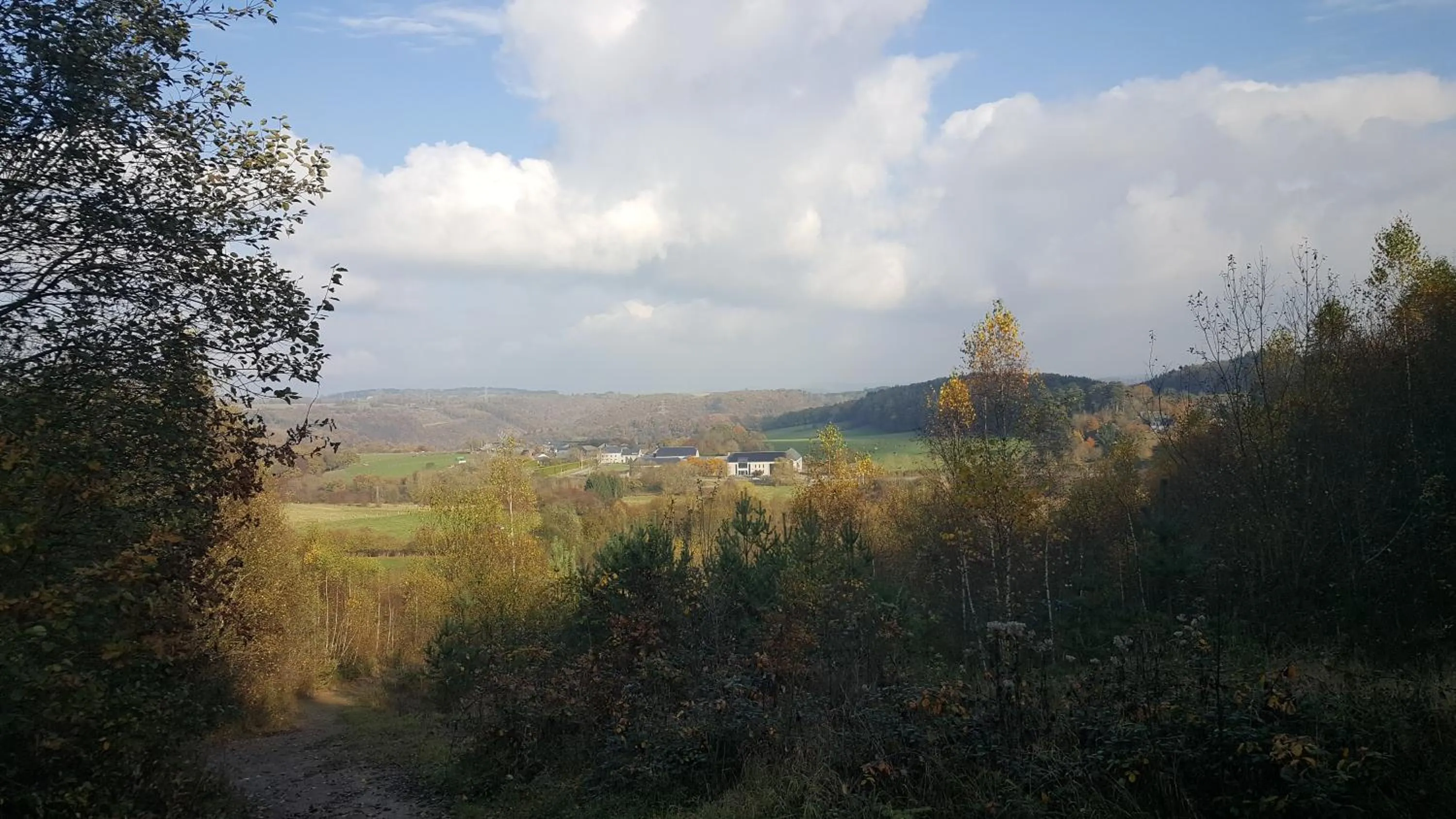 Natural landscape in B&B Barvaux, Durbuy