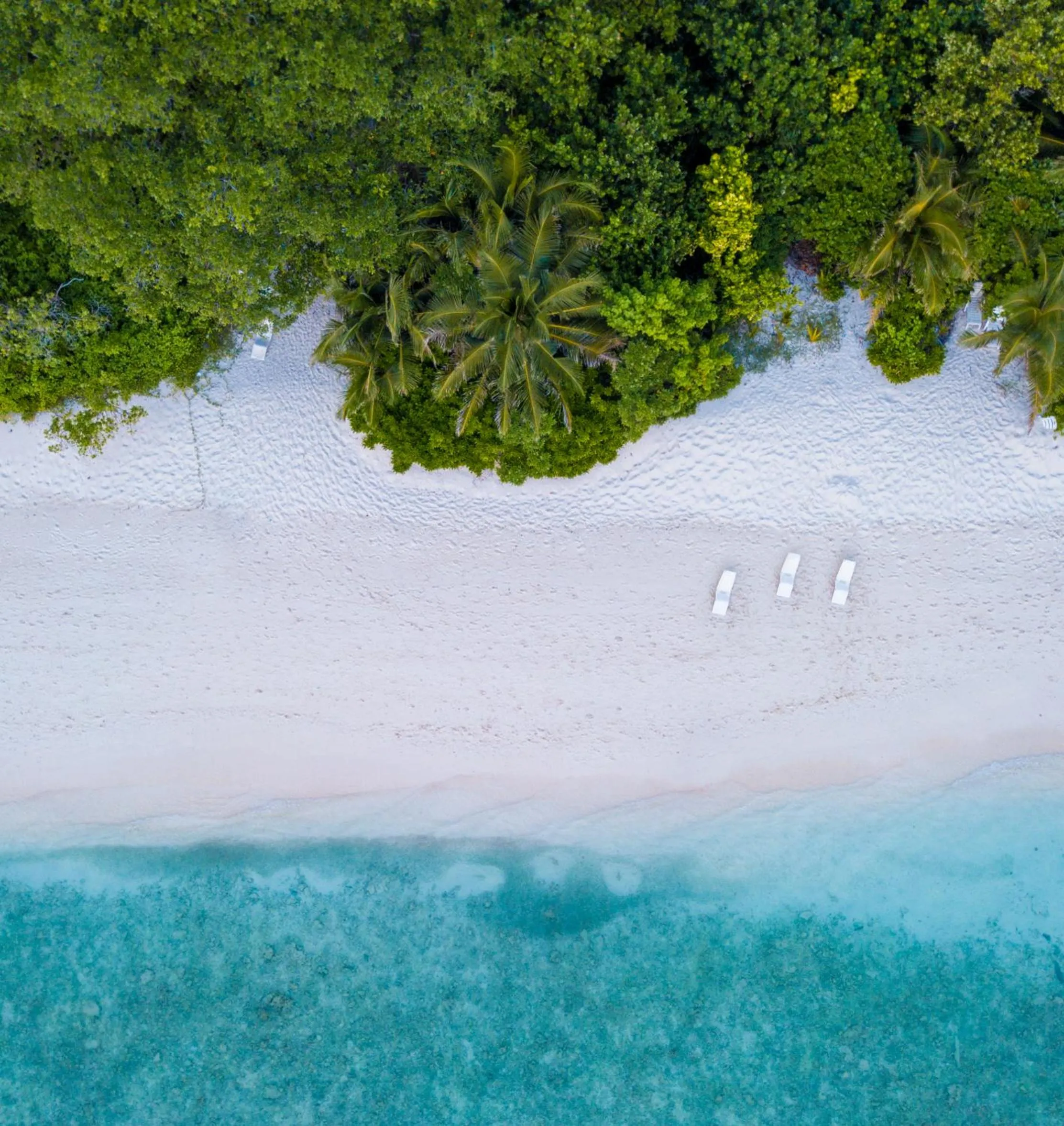 Bird's eye view in West Sands