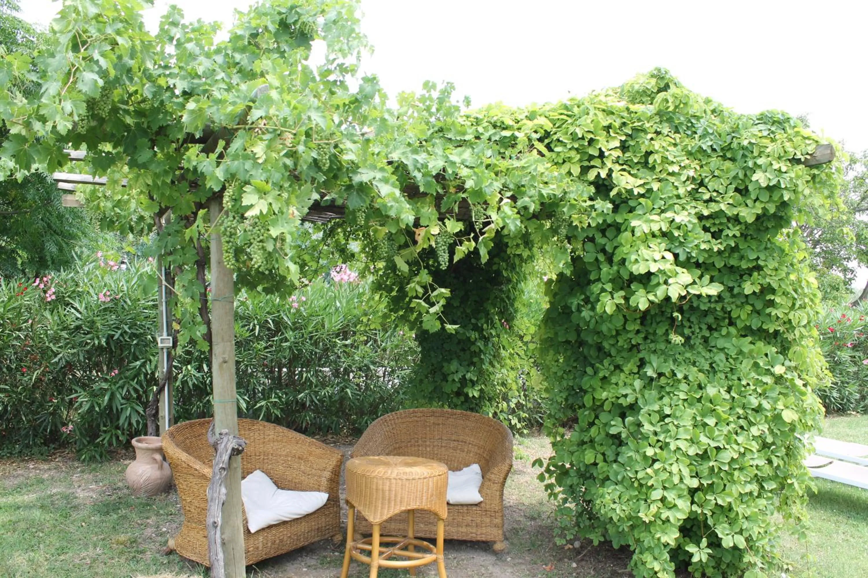 Garden in Agriturismo B&B Le Casette sul Garda