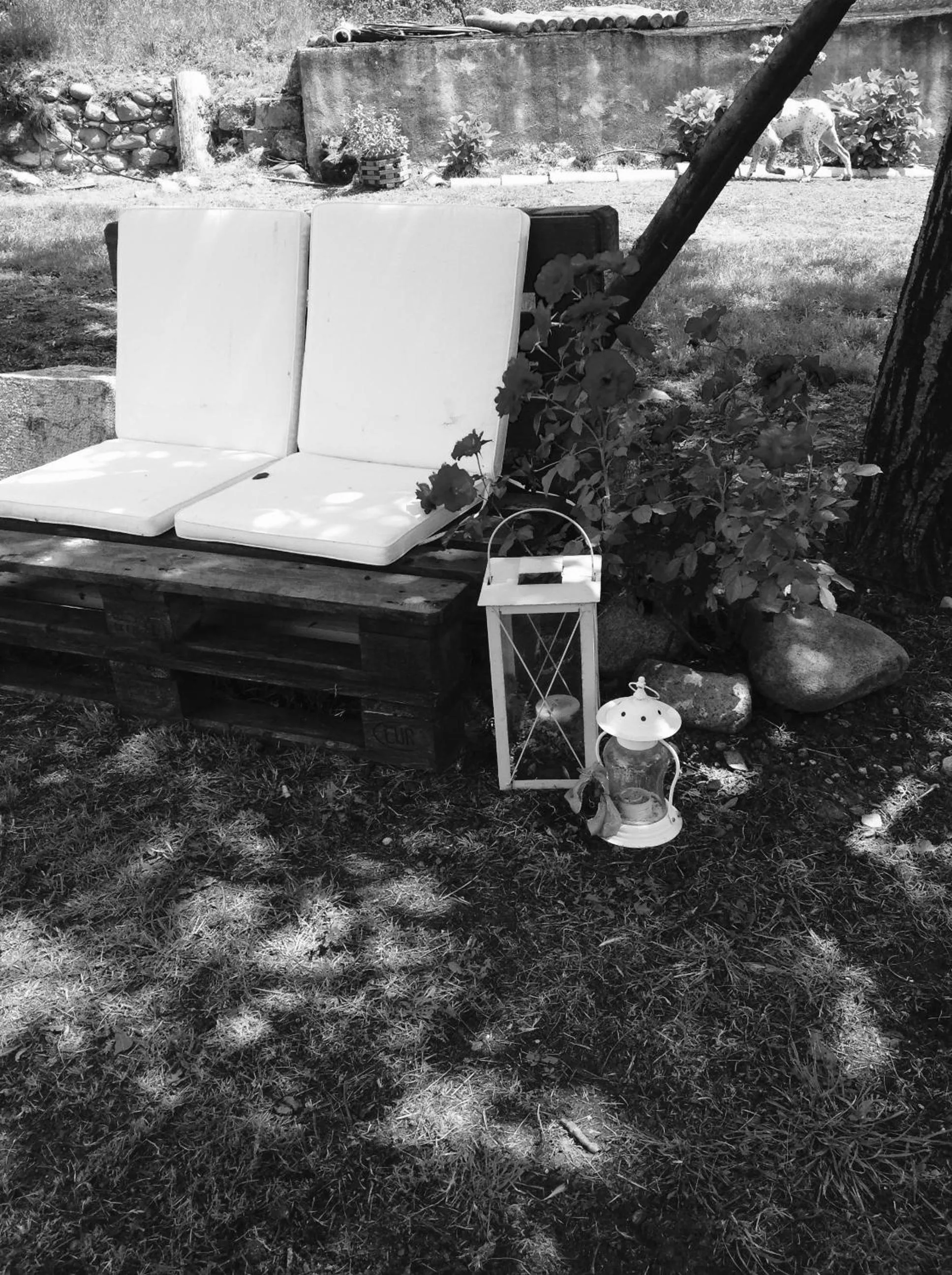 Garden in Agriturismo B&B Le Casette sul Garda