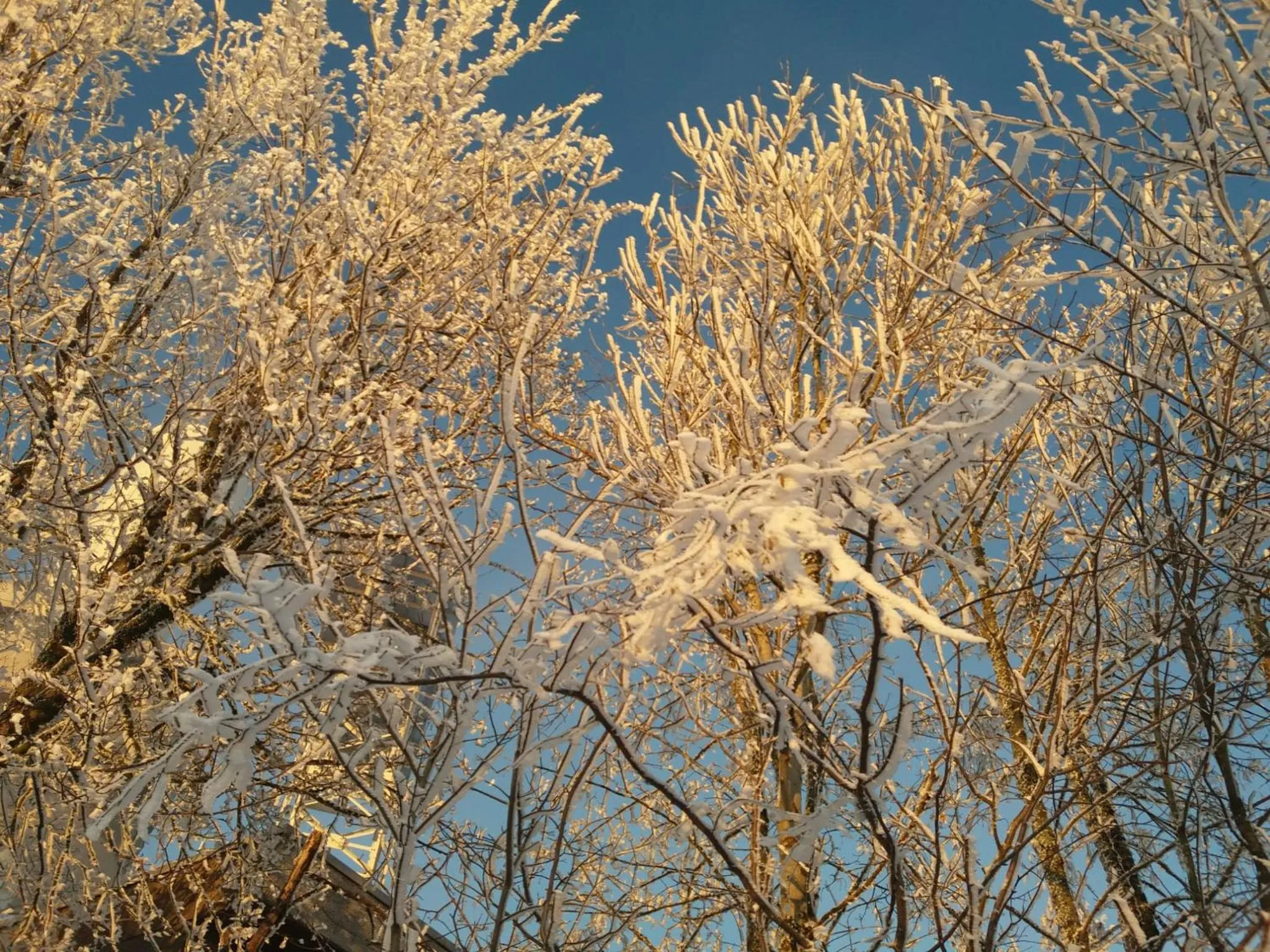 Natural landscape in Klosterhotel Walkenried