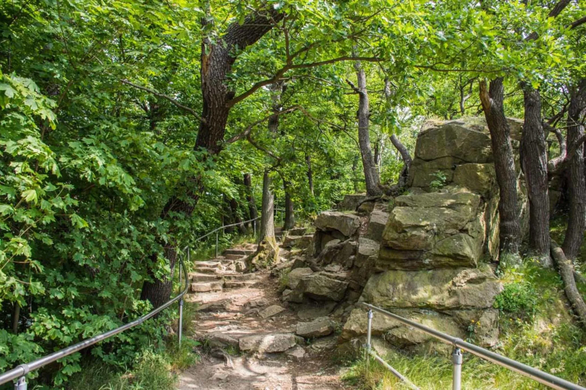 Natural landscape in Klosterhotel Walkenried