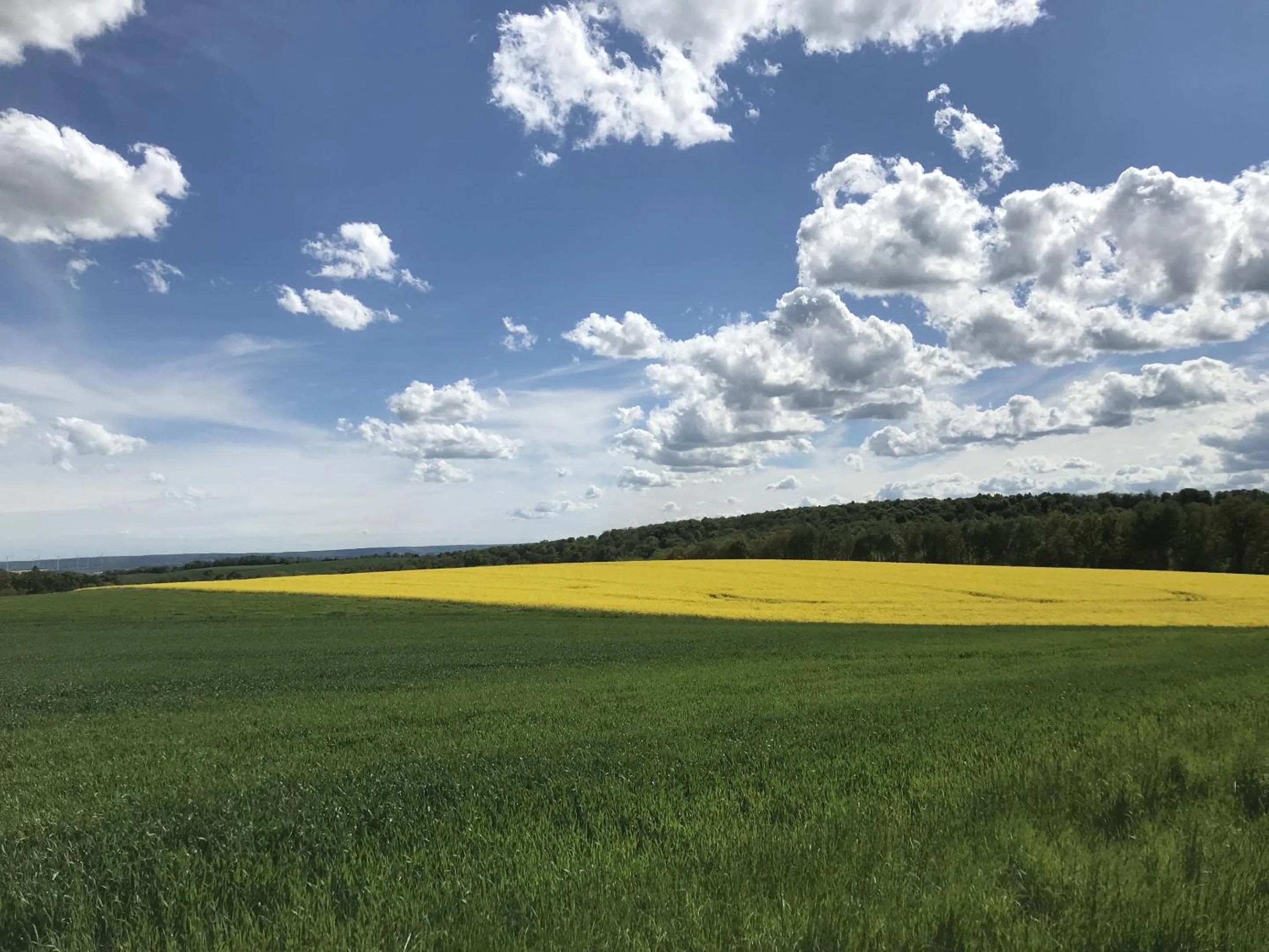 Natural landscape in Klosterhotel Walkenried