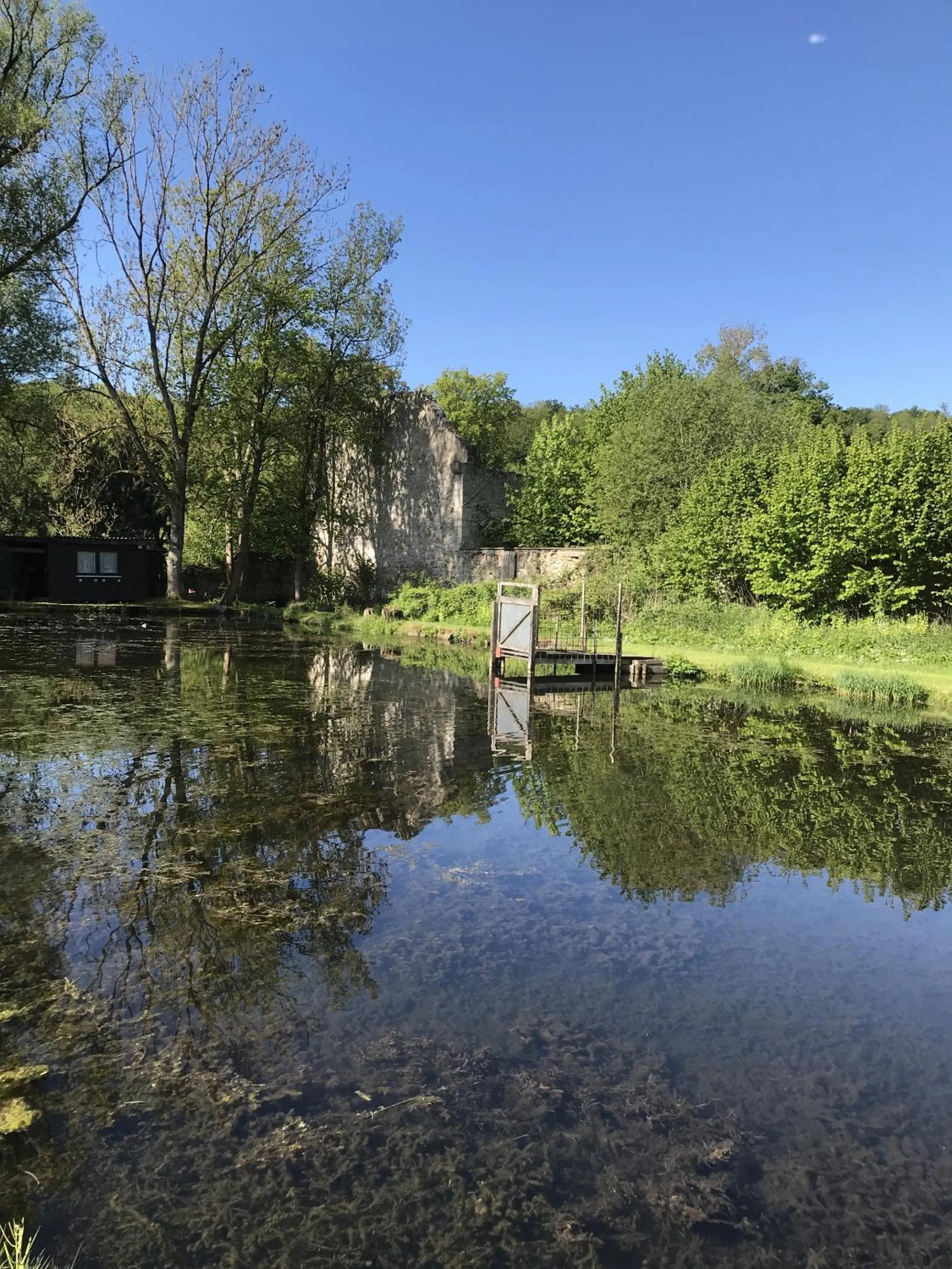 Natural landscape in Klosterhotel Walkenried