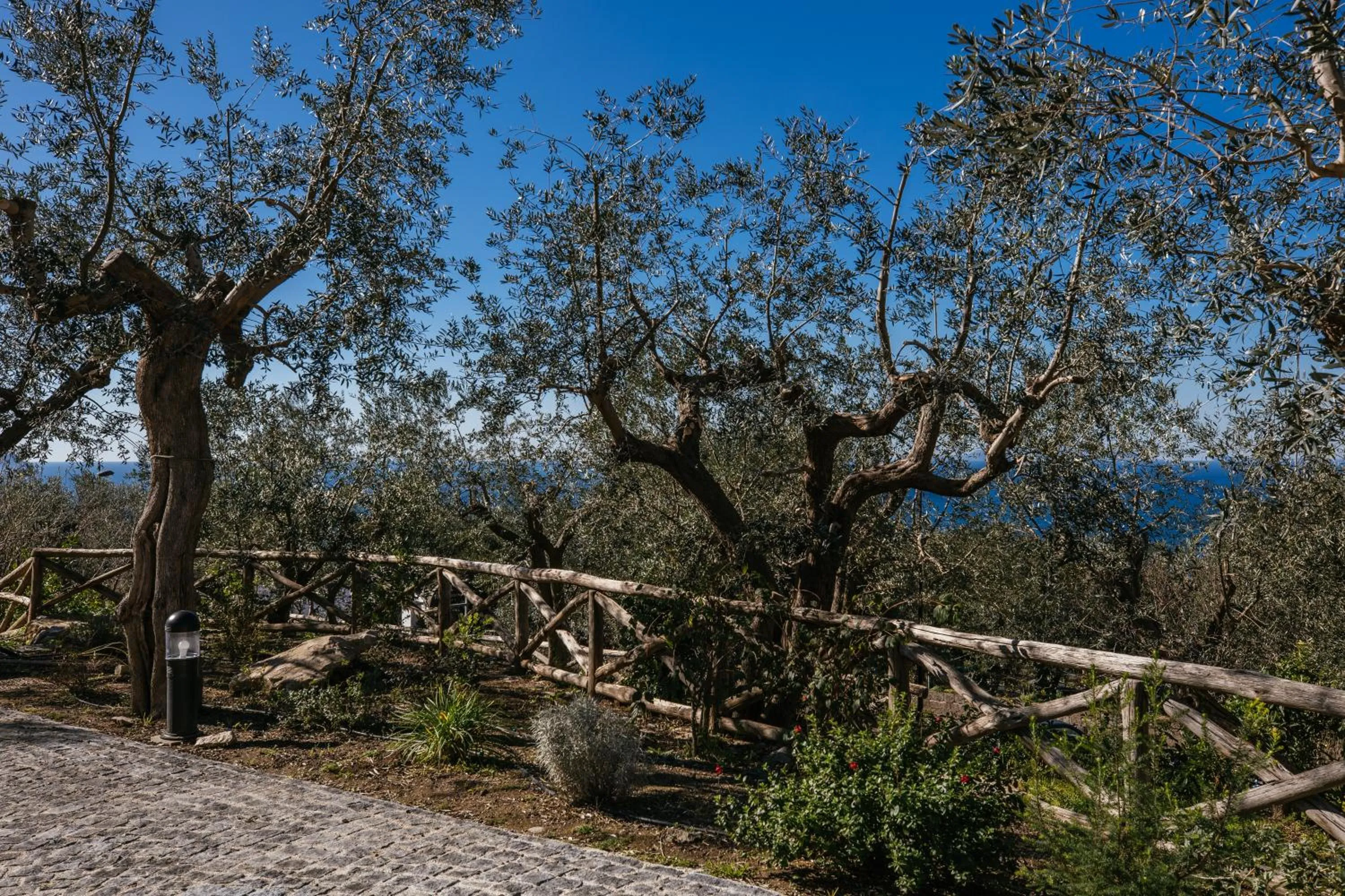 Sea view in MelRose Relais