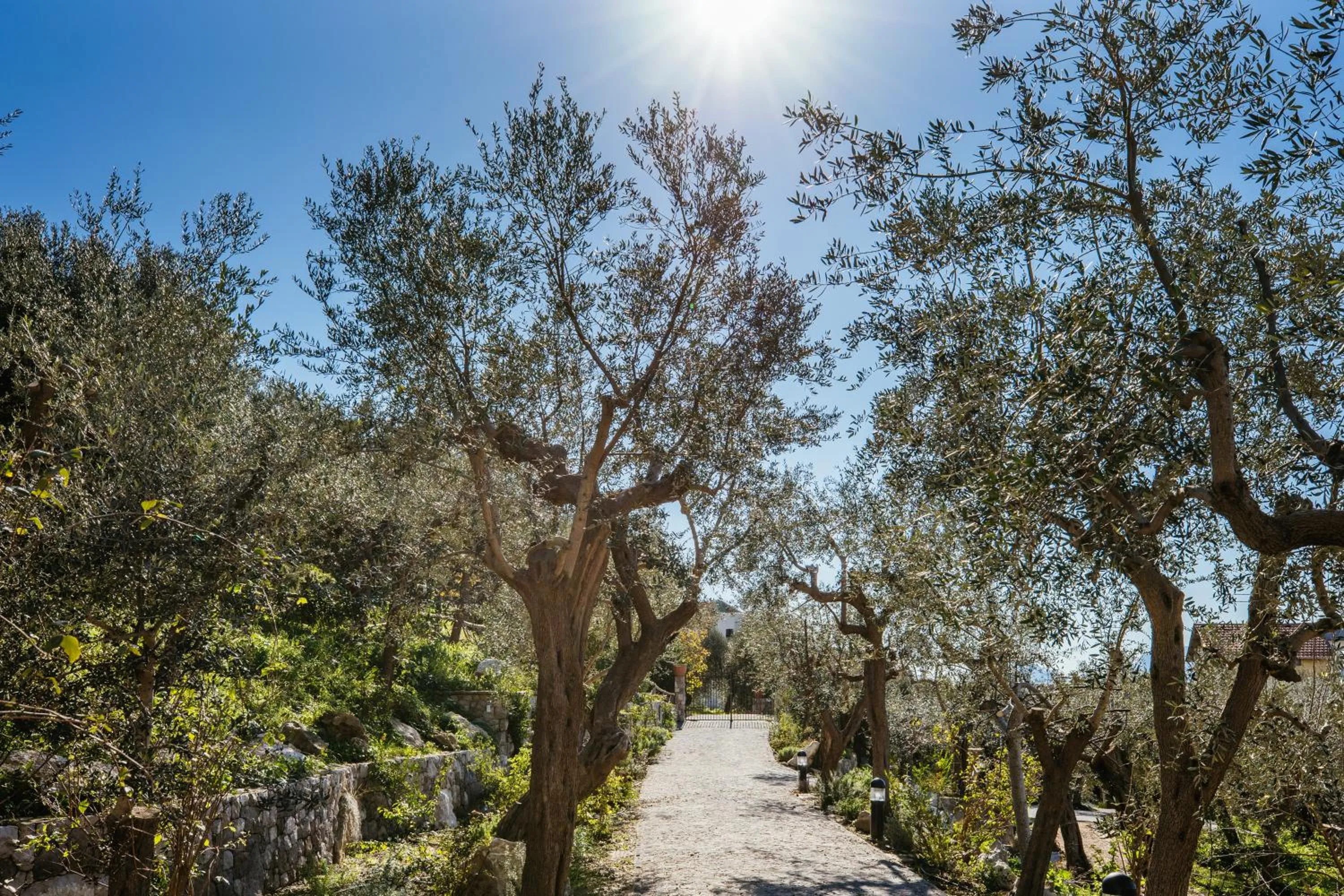 Garden view in MelRose Relais