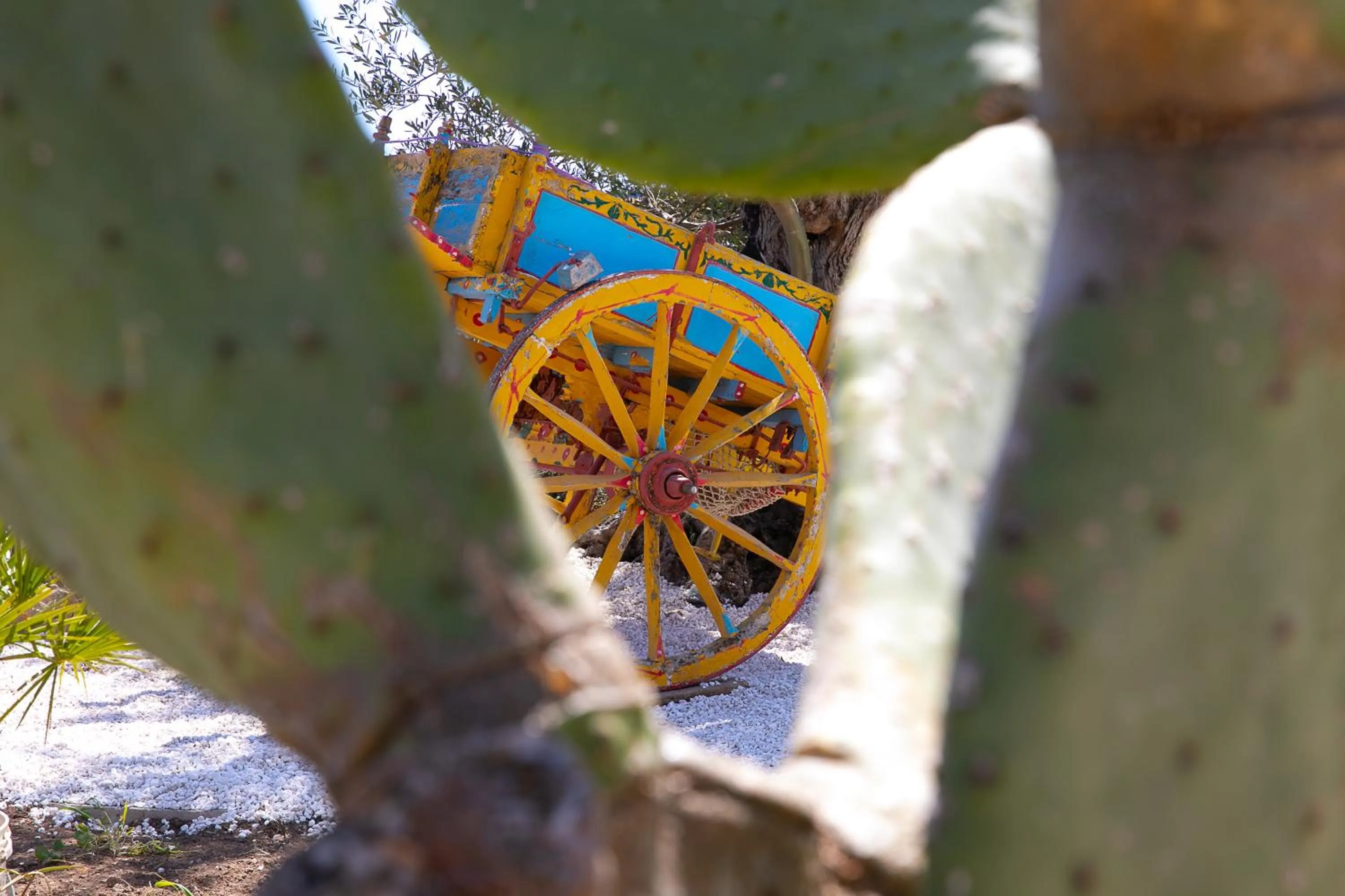 Day in Ciriga Sicily Glamping