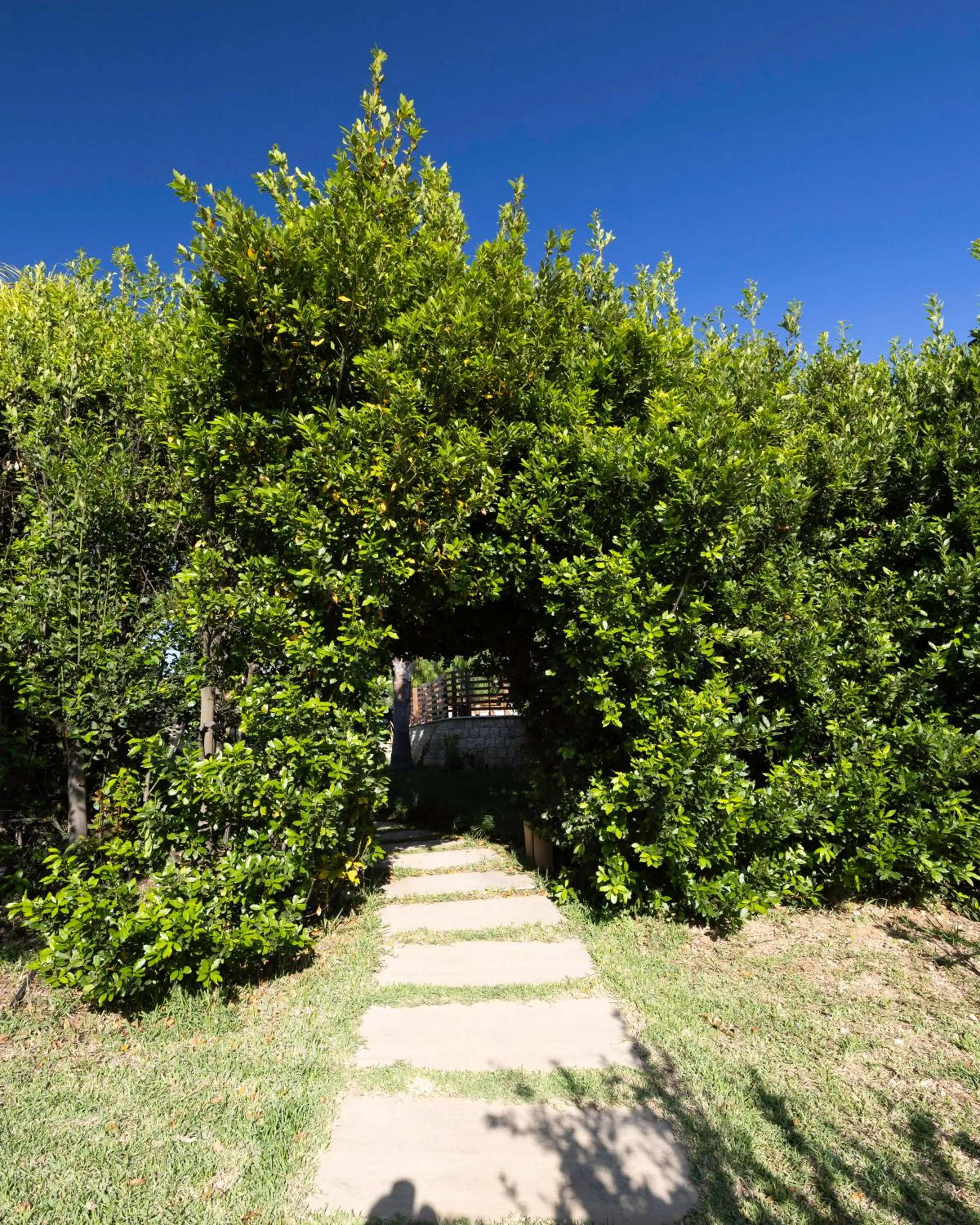 Garden in Ciriga Sicily Glamping