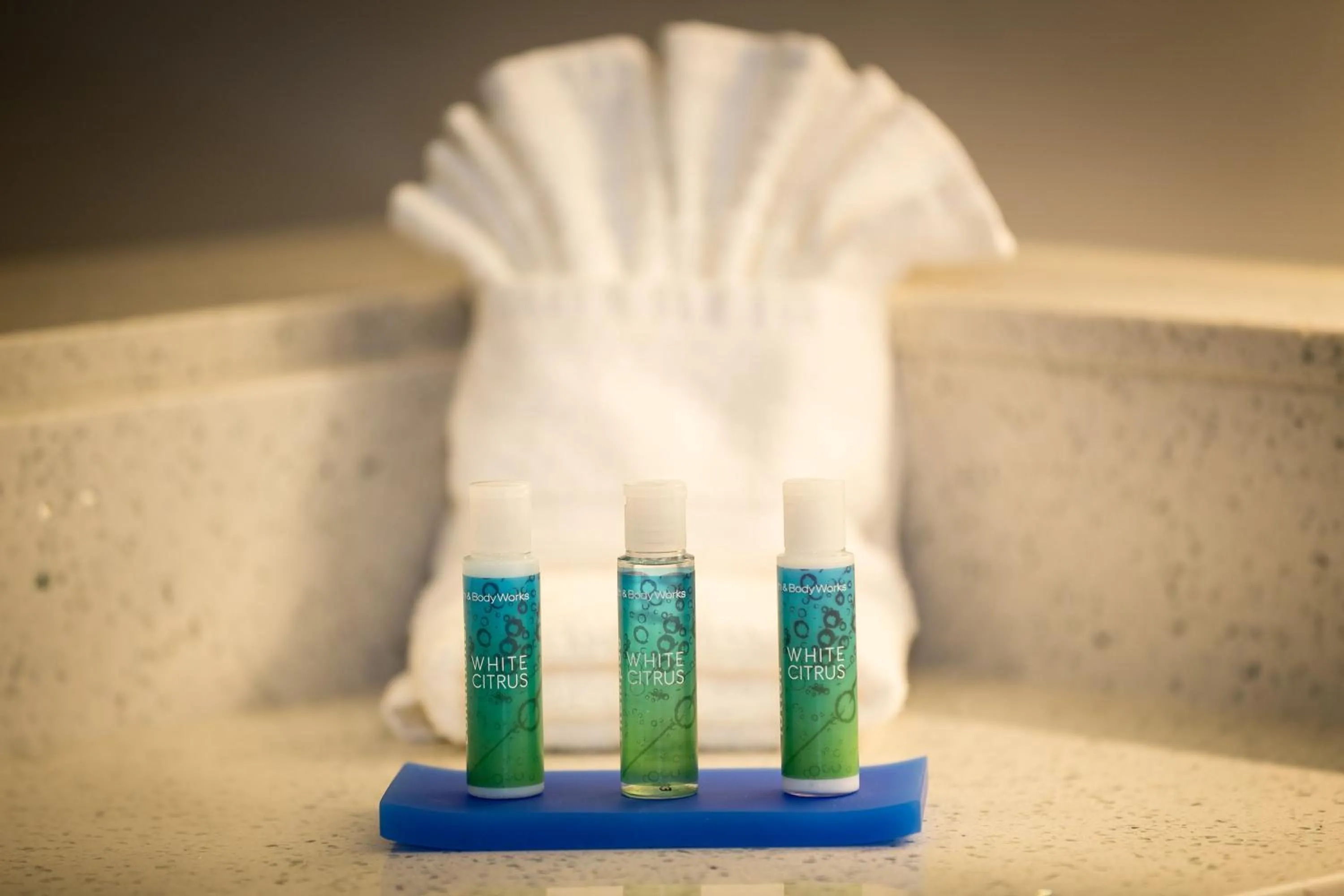 Photo of the whole room in Holiday Inn Express - North Augusta South Carolina by IHG