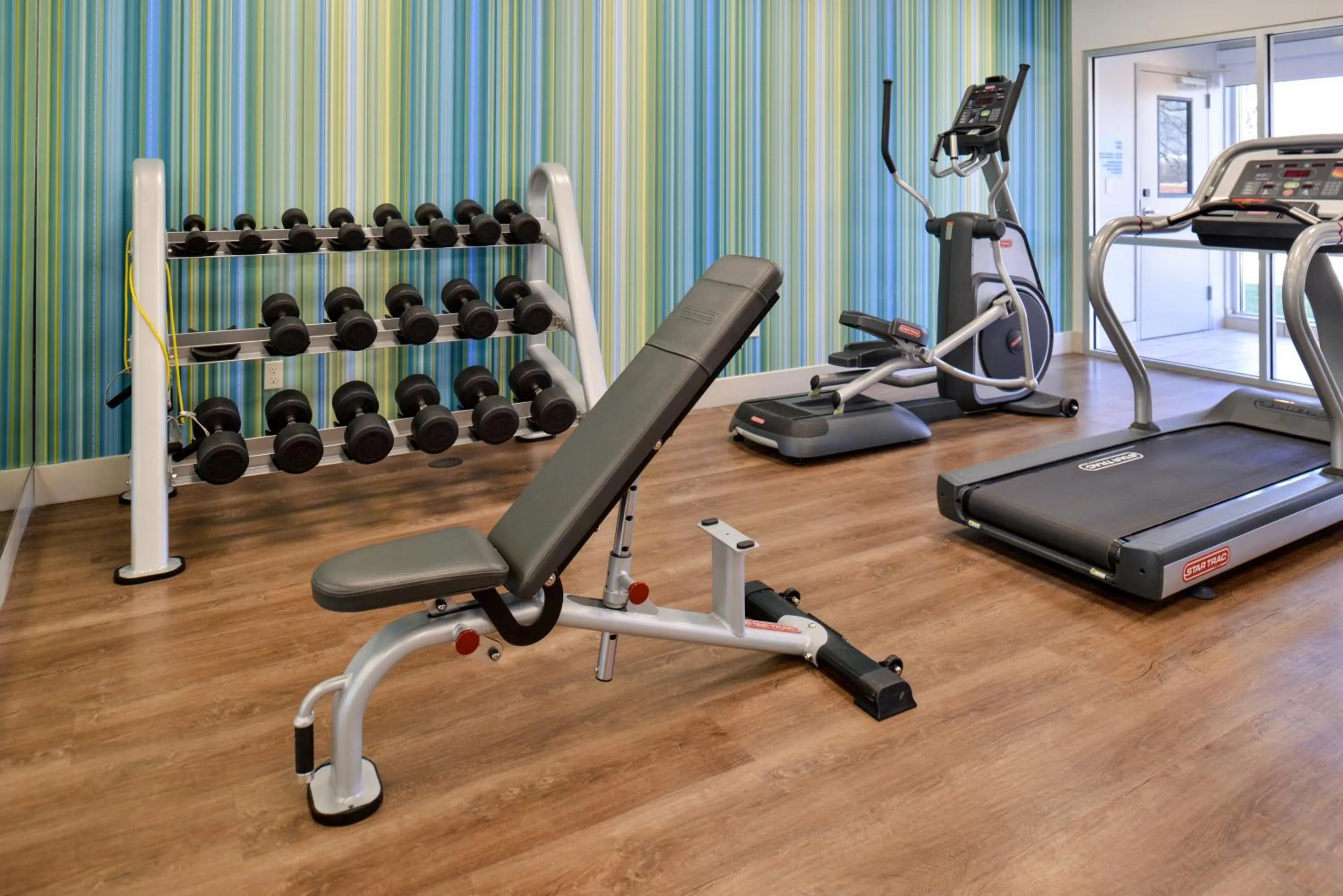 Fitness centre/facilities in Holiday Inn Express & Suites - Brighton South - US 23 by IHG