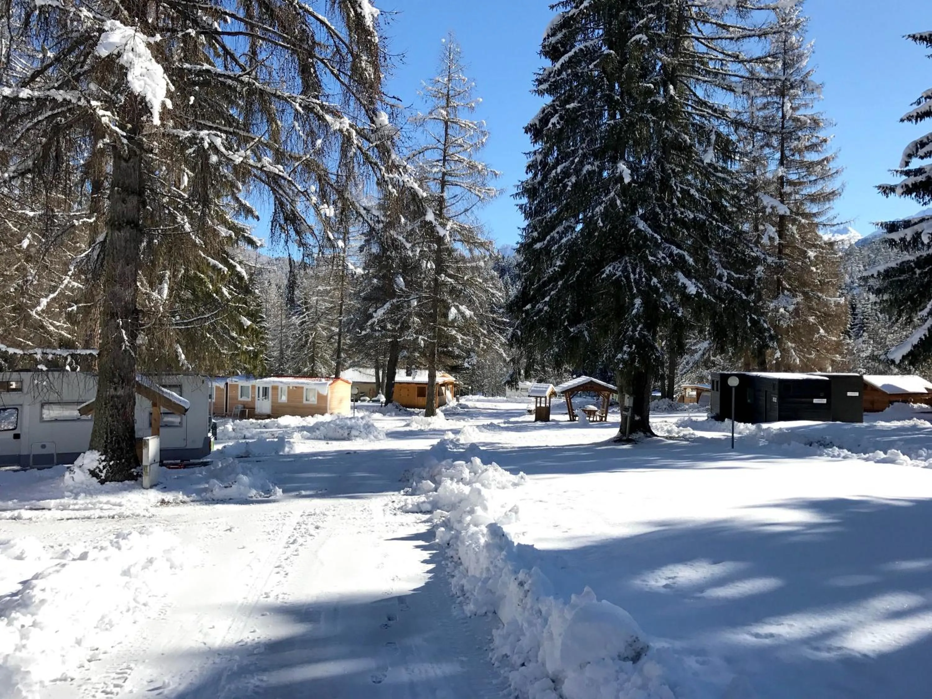 Winter in Club del Sole Val di Fiemme Easy Camping Village